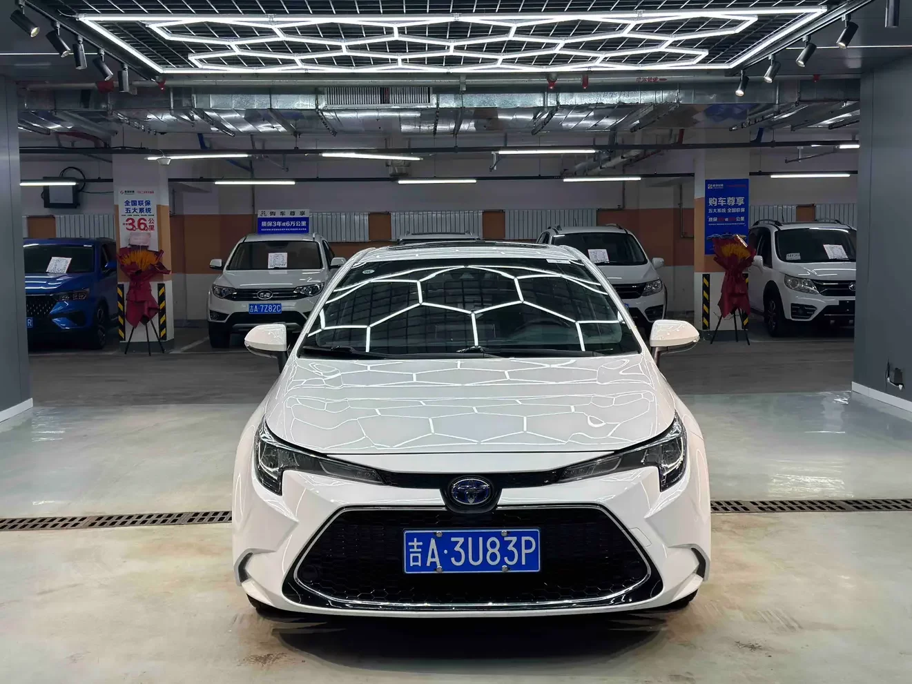 Toyota Levin