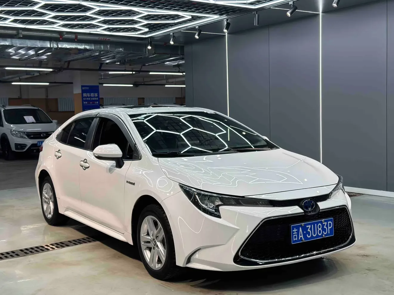Toyota Levin