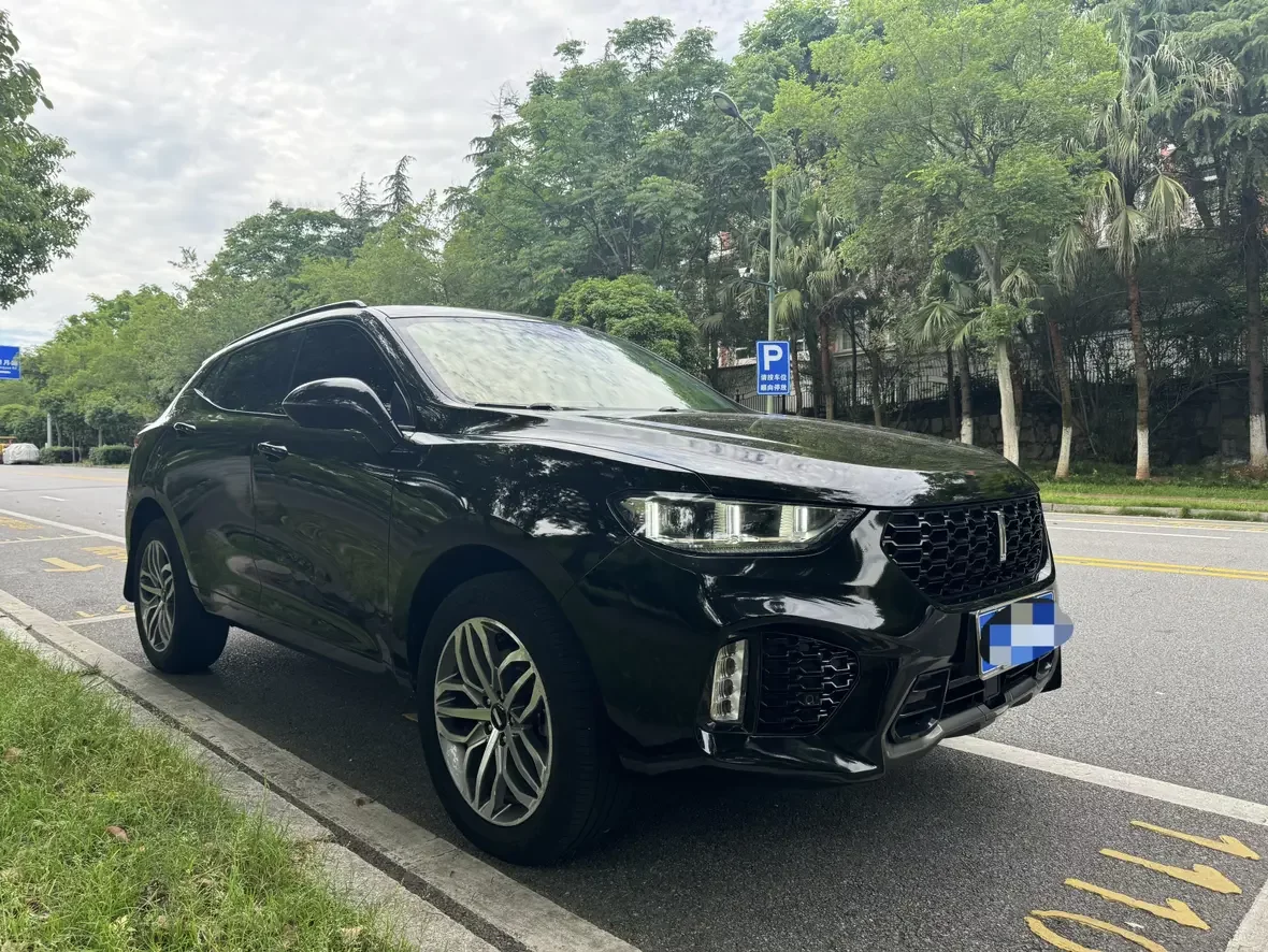 Wey Wei brand VV5