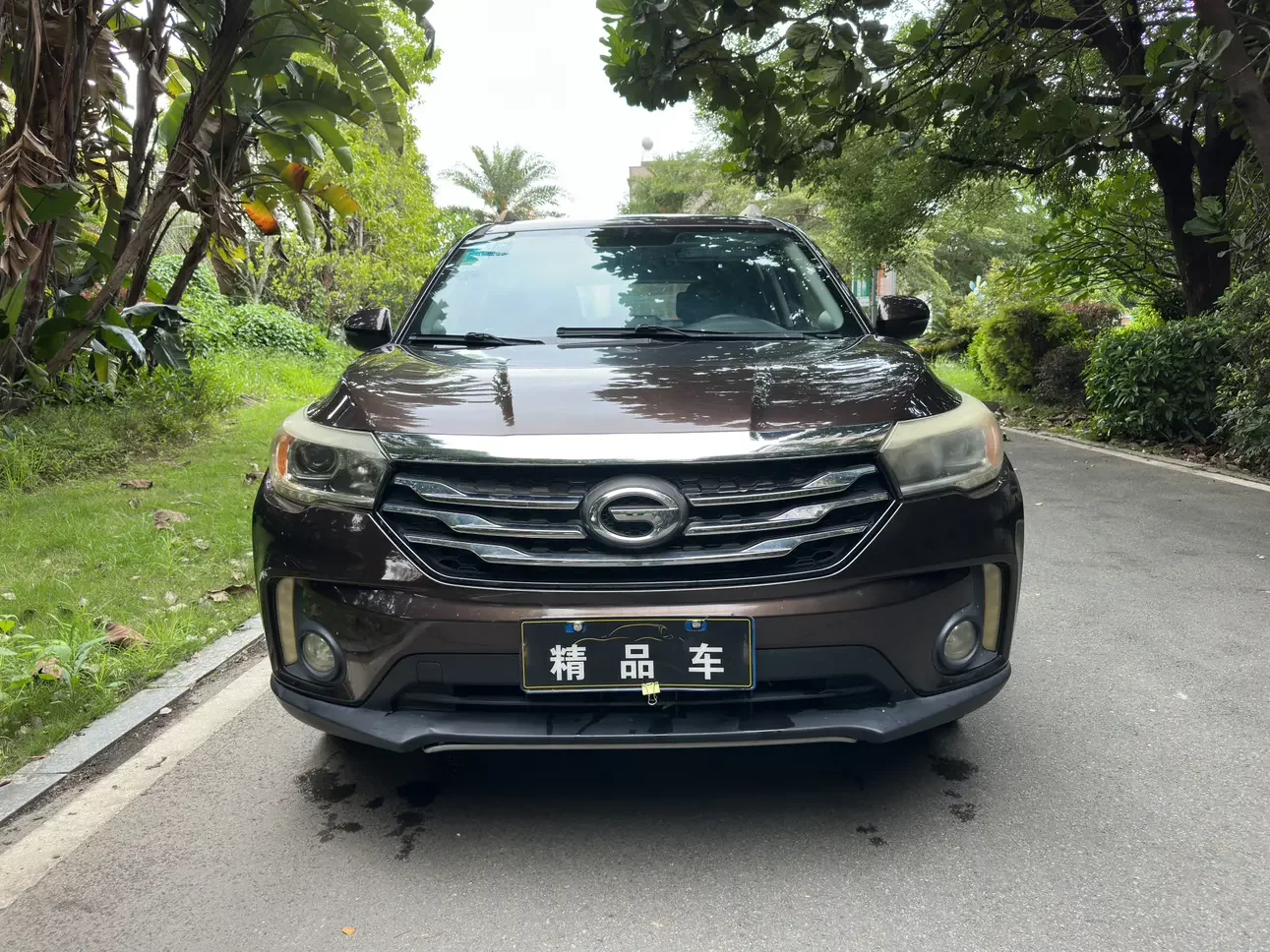 GAC Trumpchi GS4