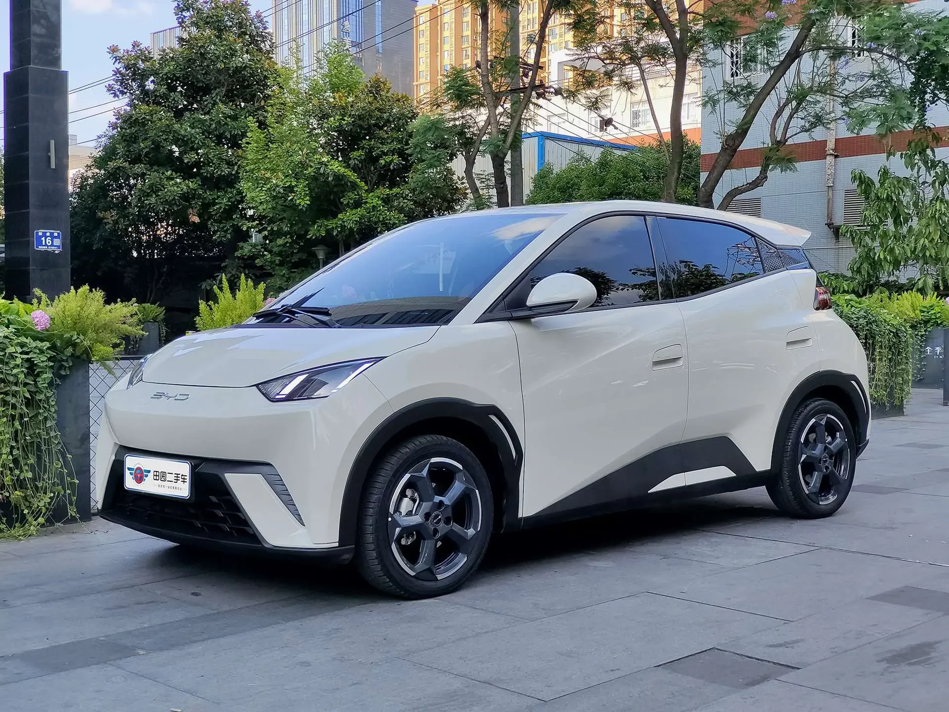 BYD seagull
