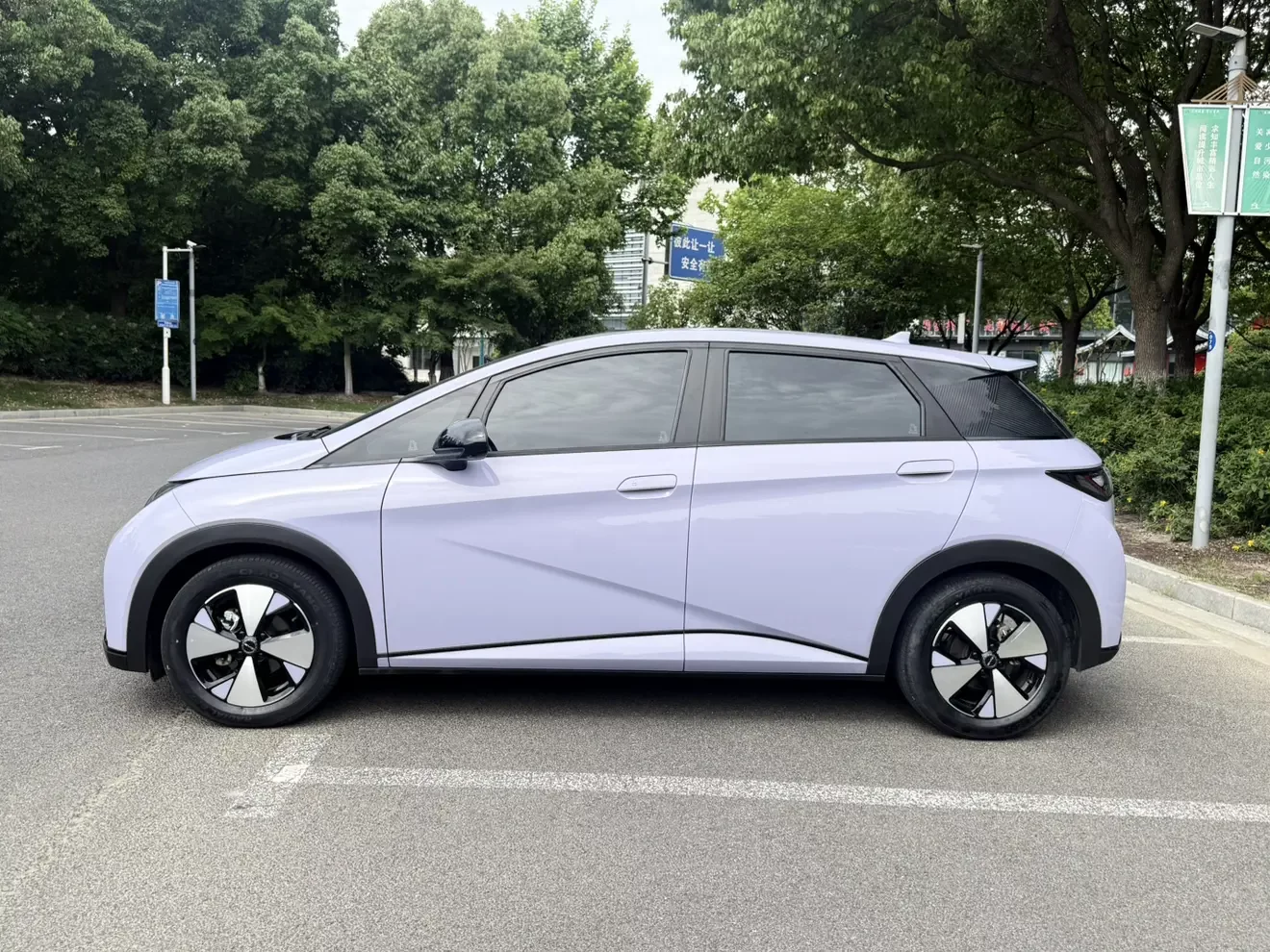 BYD dolphin