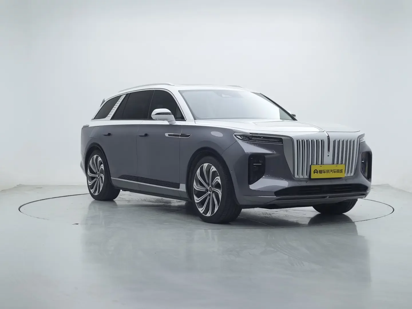 Hongqi E-HS9
