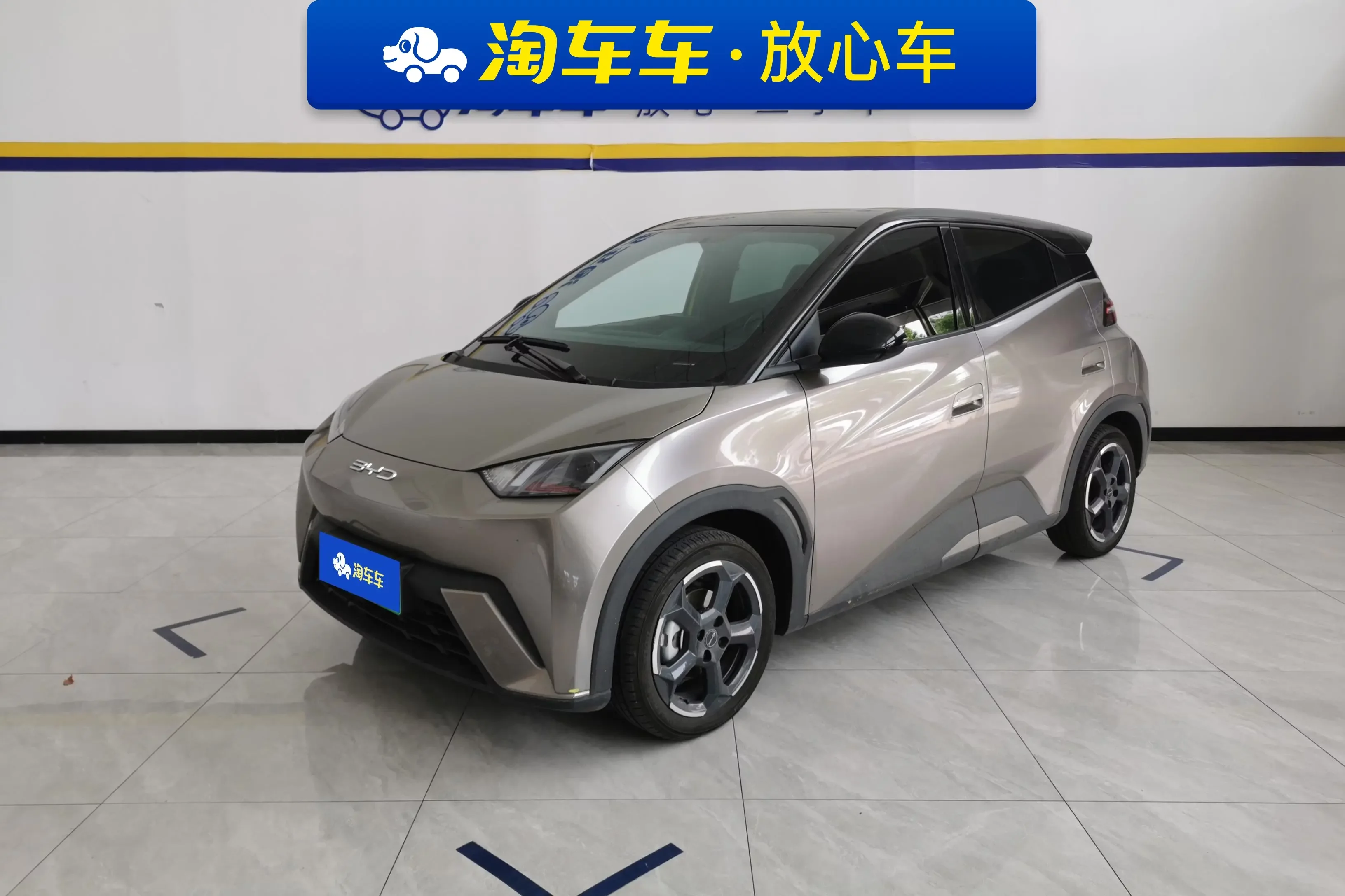 BYD seagull