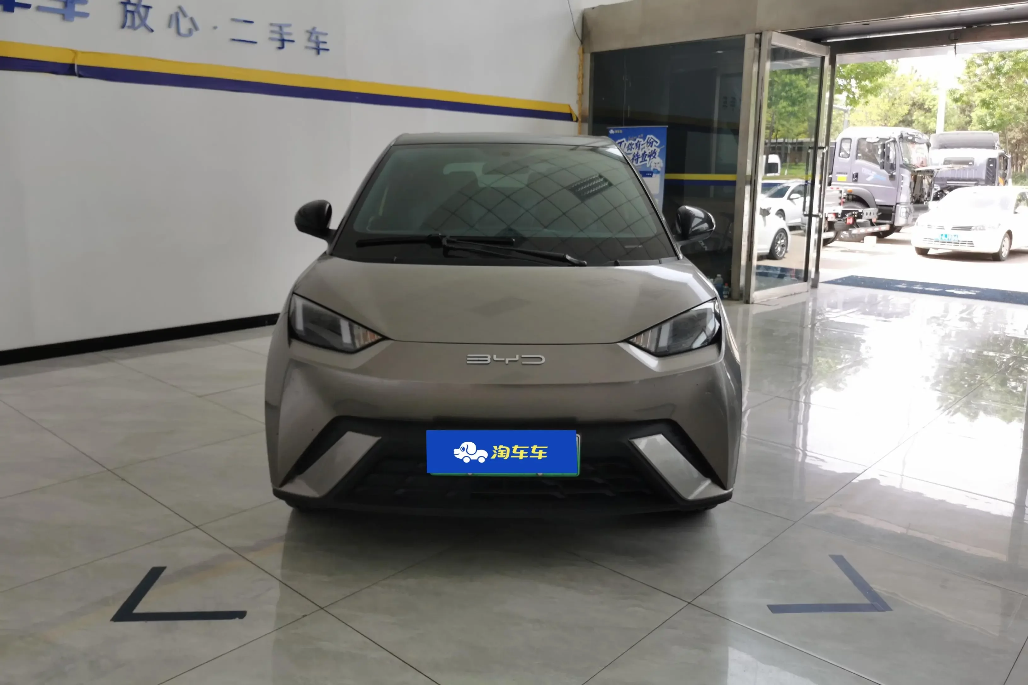 BYD seagull