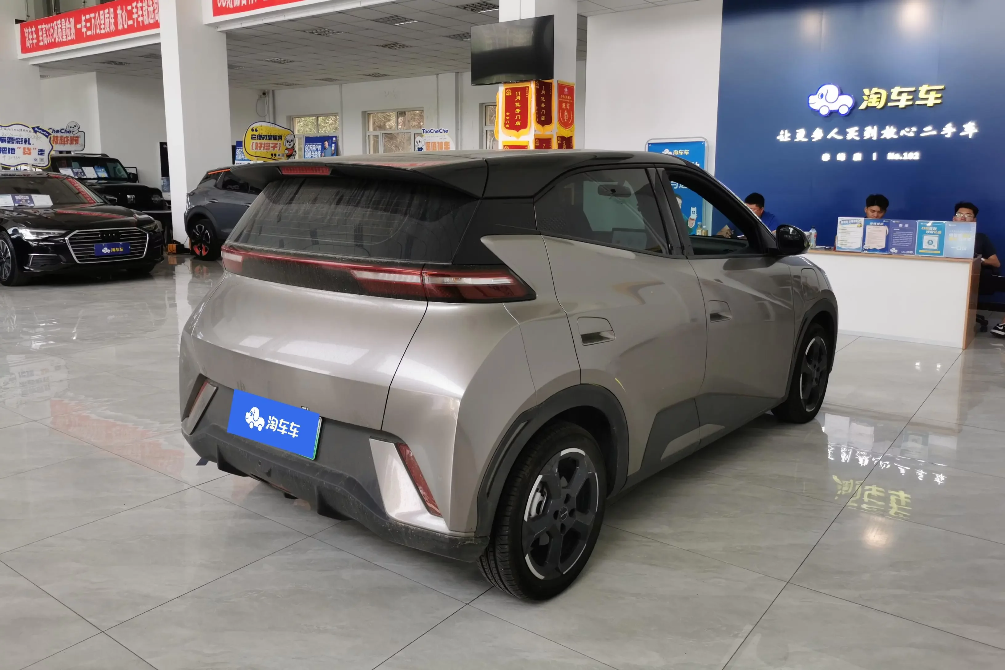 BYD seagull