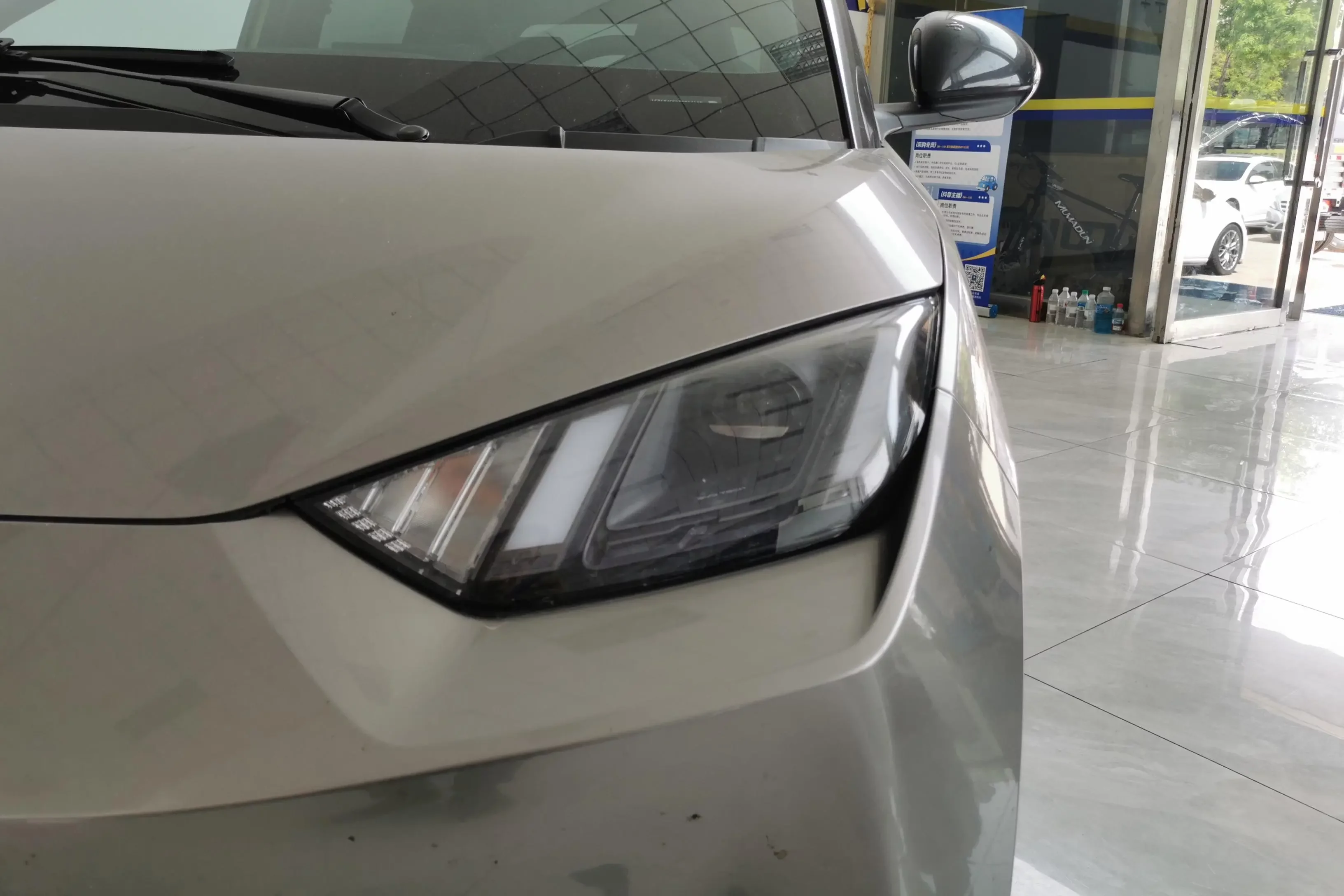 BYD seagull
