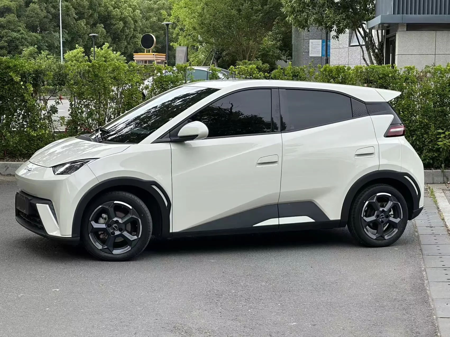 BYD seagull