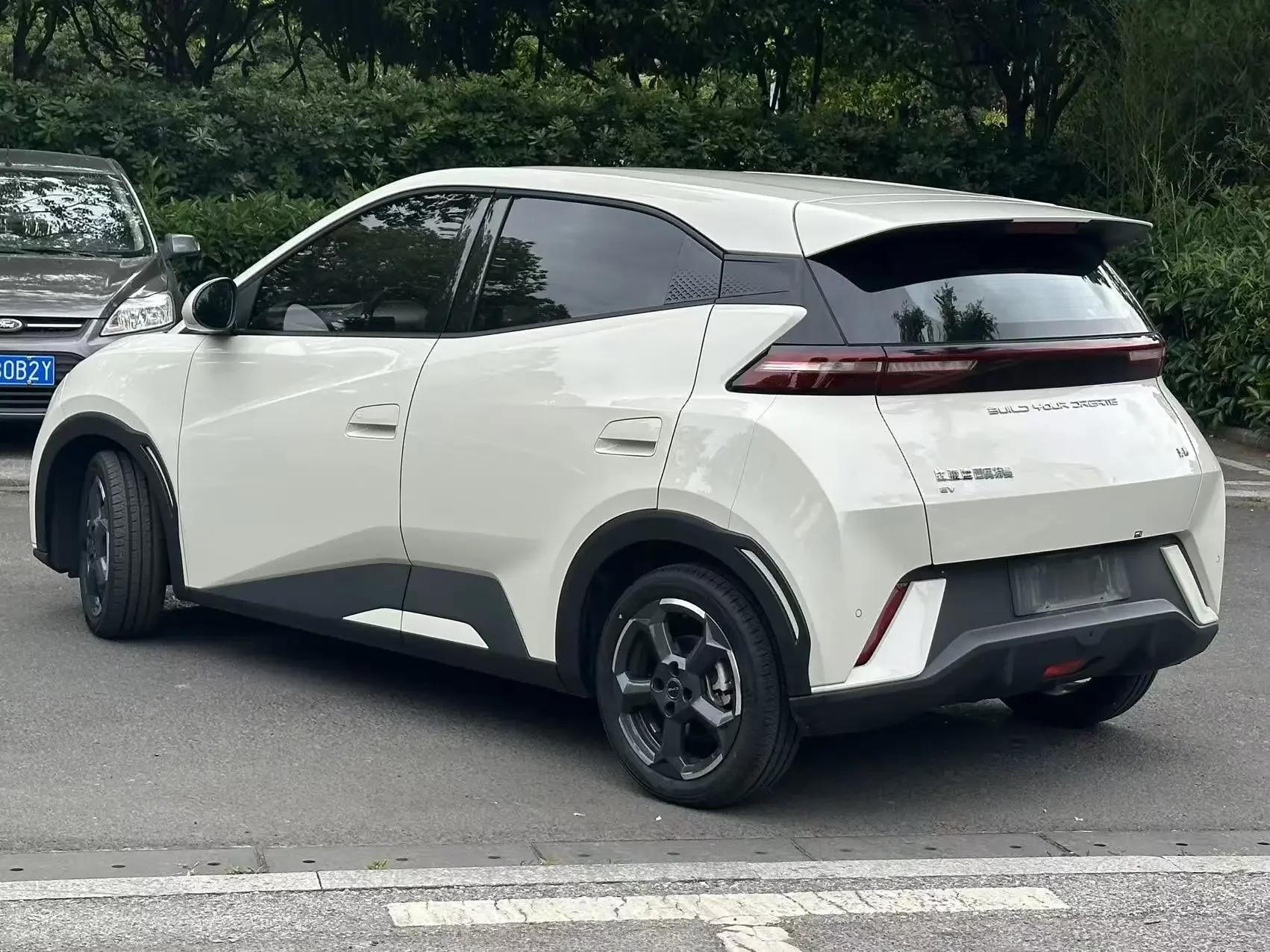 BYD seagull