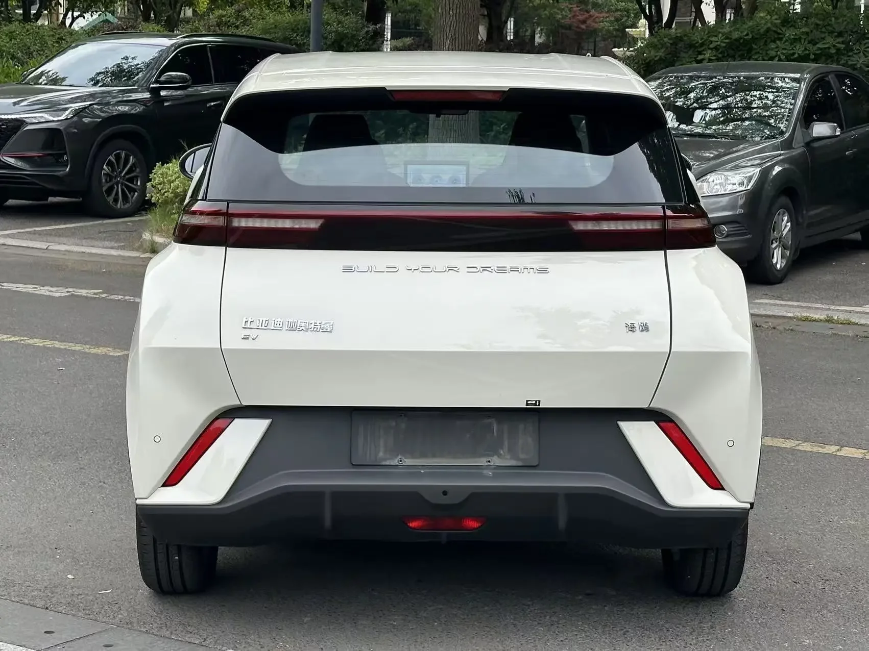 BYD seagull