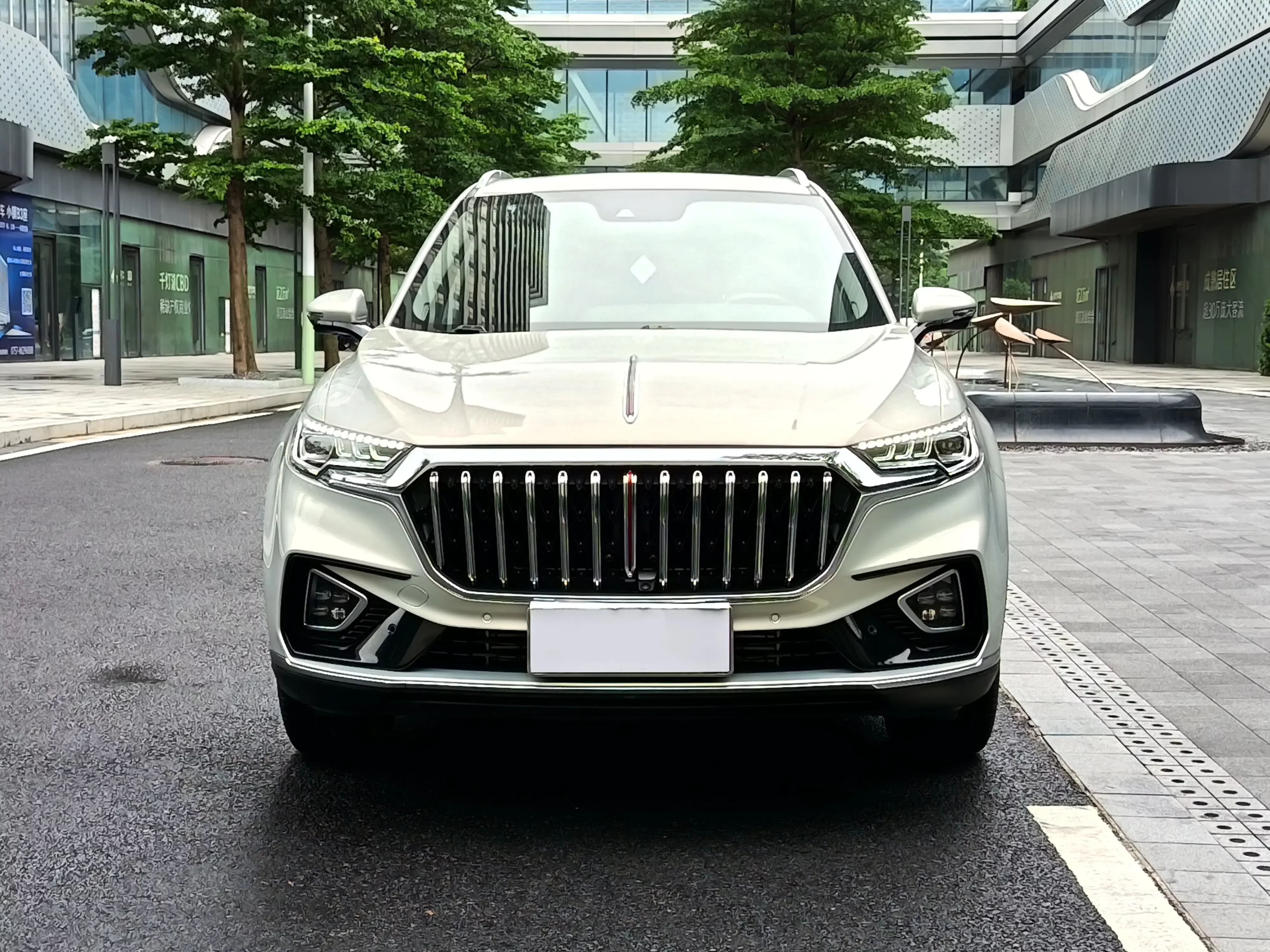 Hongqi HS5