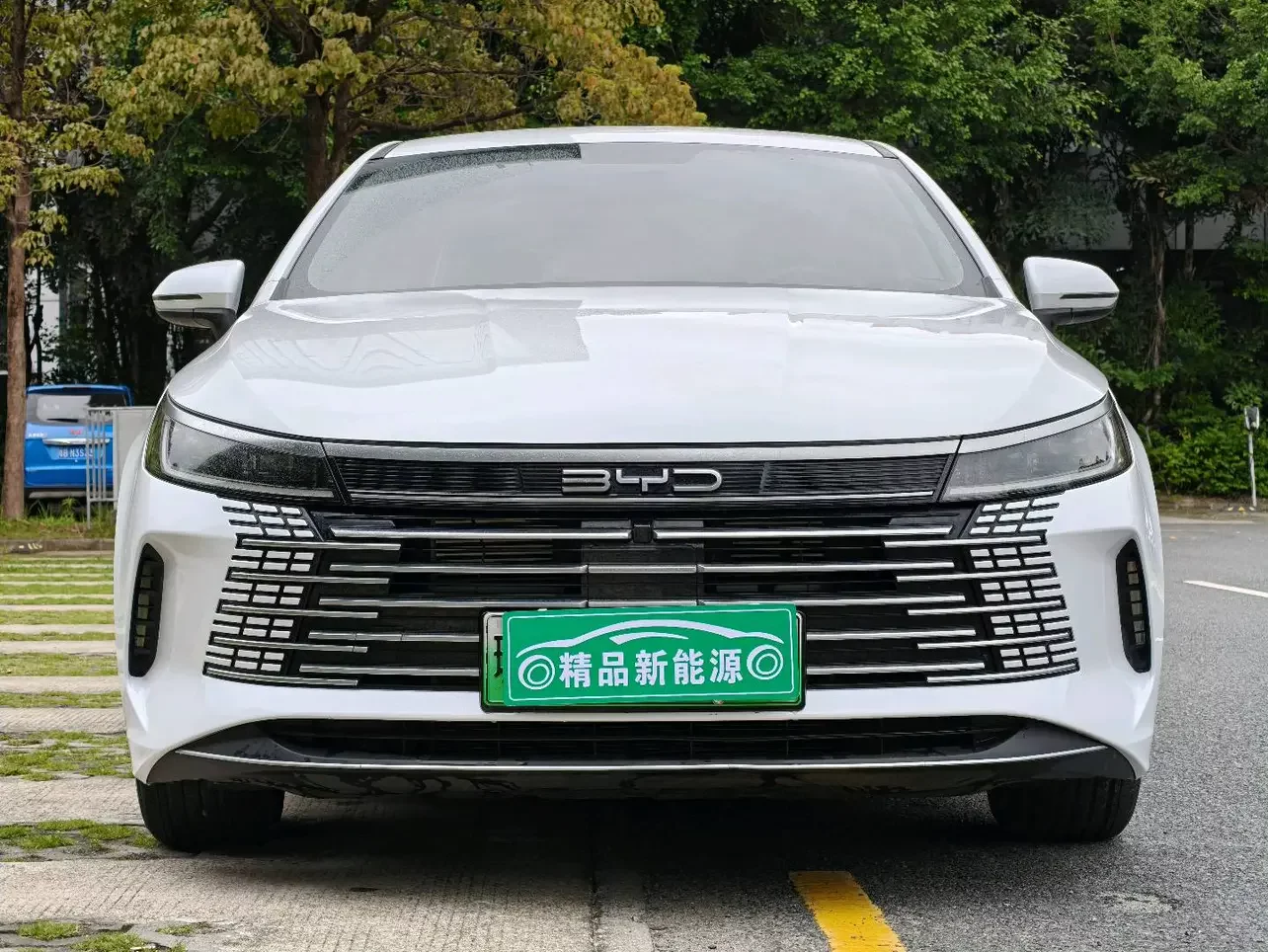 BYD Destroyer 05