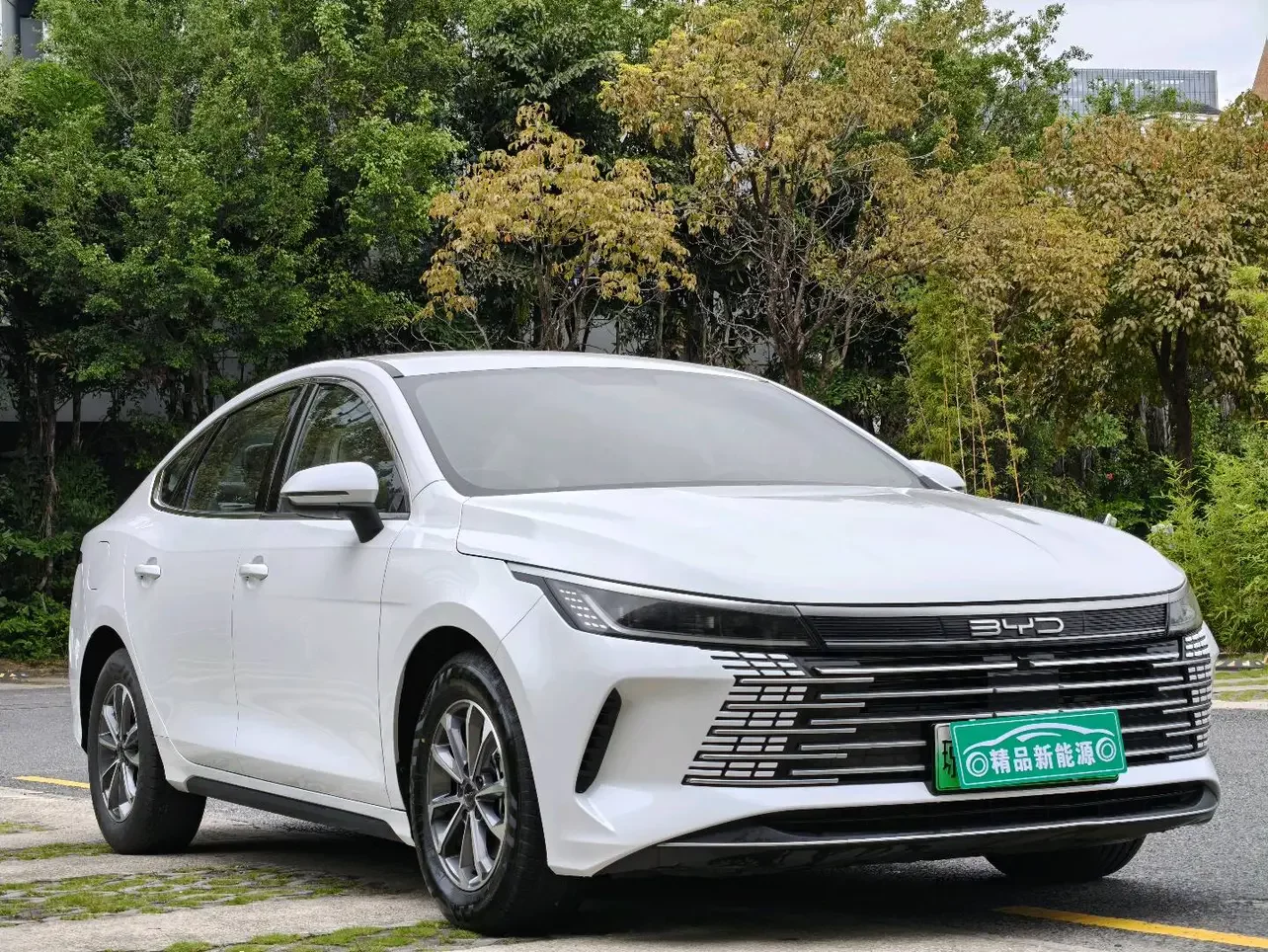 BYD Destroyer 05