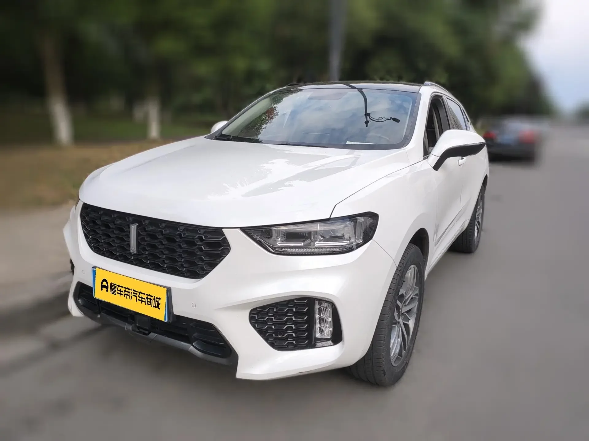 Wey Wei brand VV5
