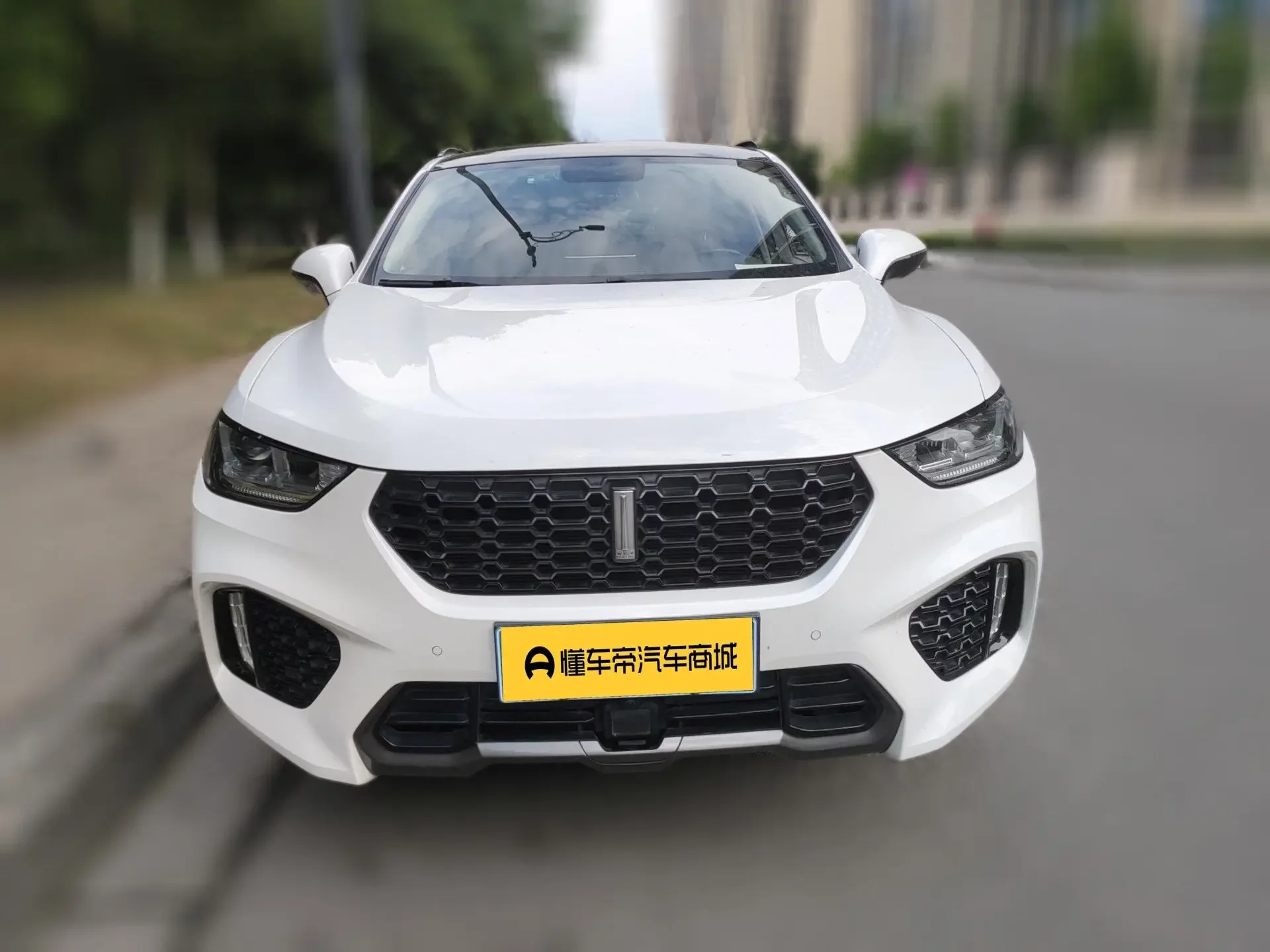 Wey Wei brand VV5