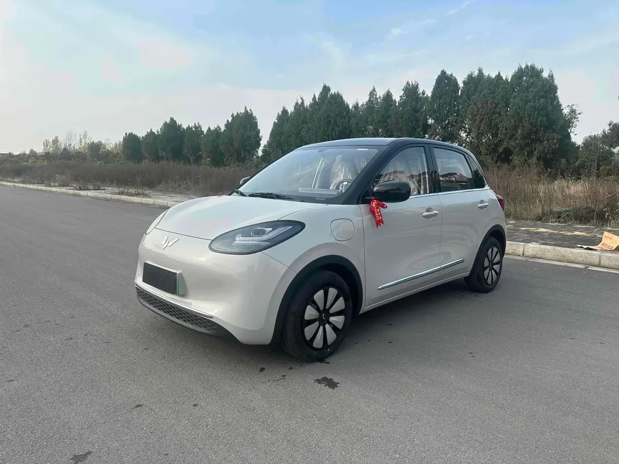 Wuling Bingo