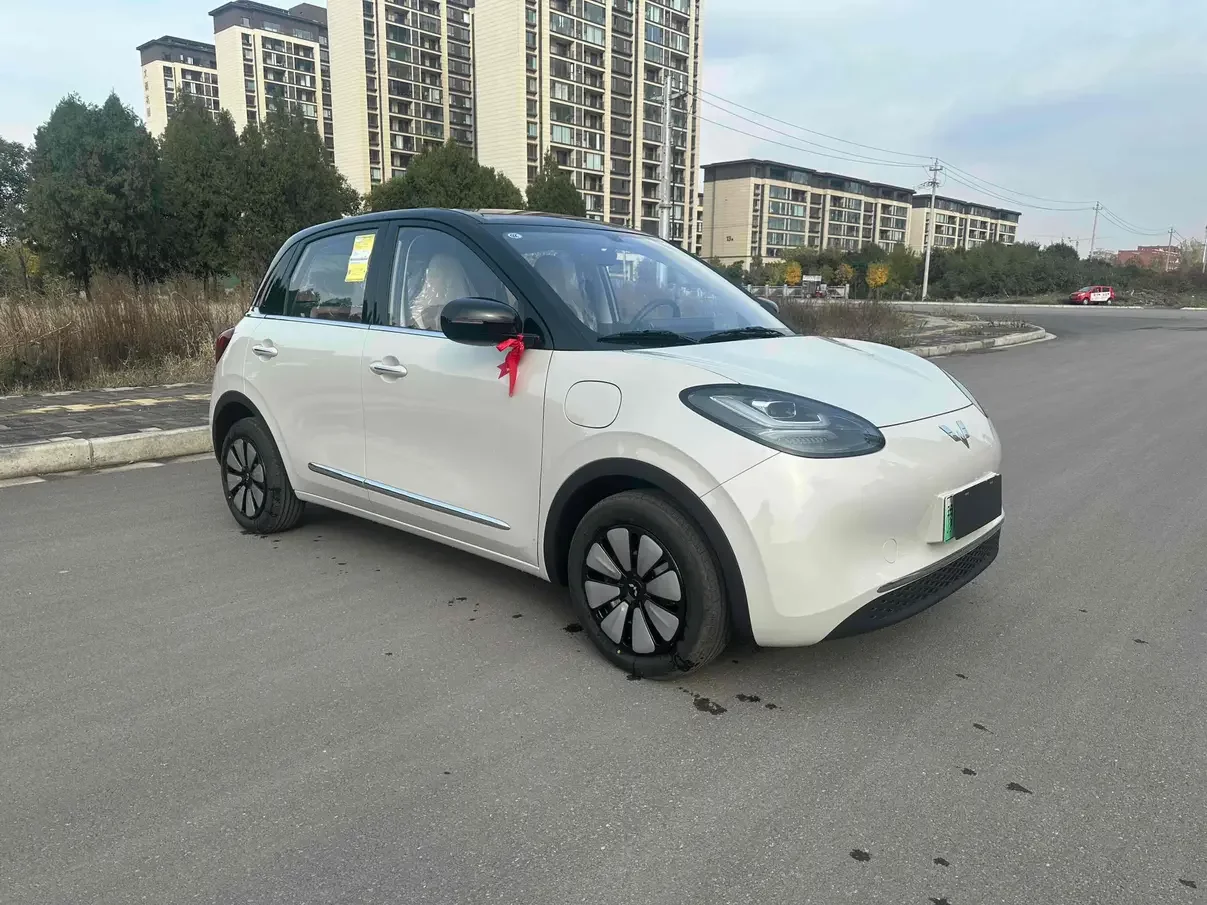 Wuling Bingo