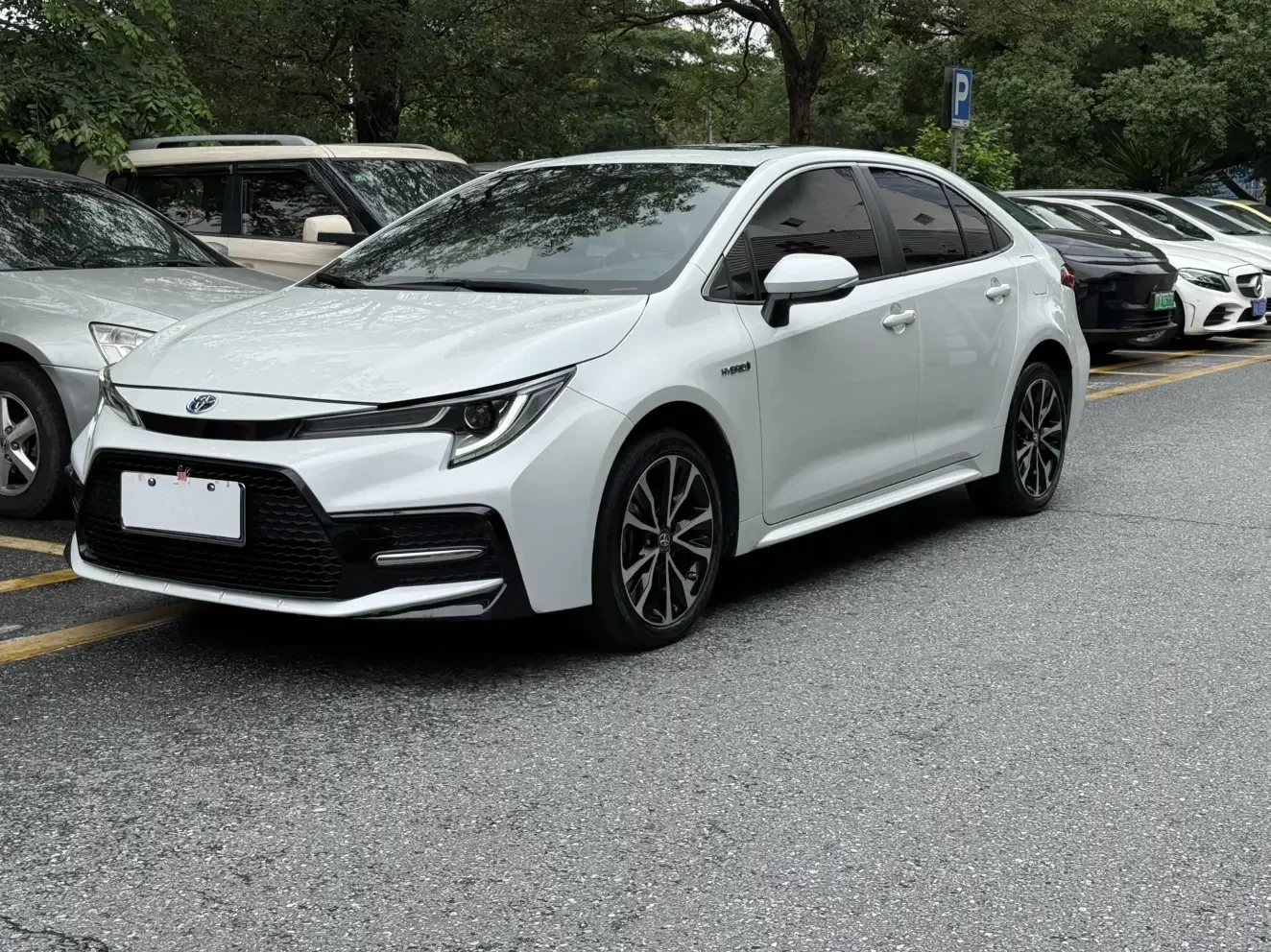 Toyota Levin