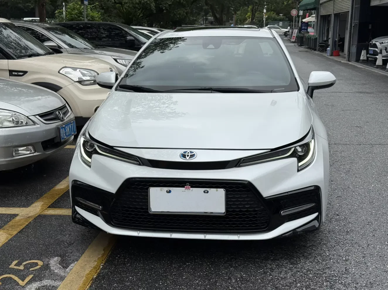 Toyota Levin