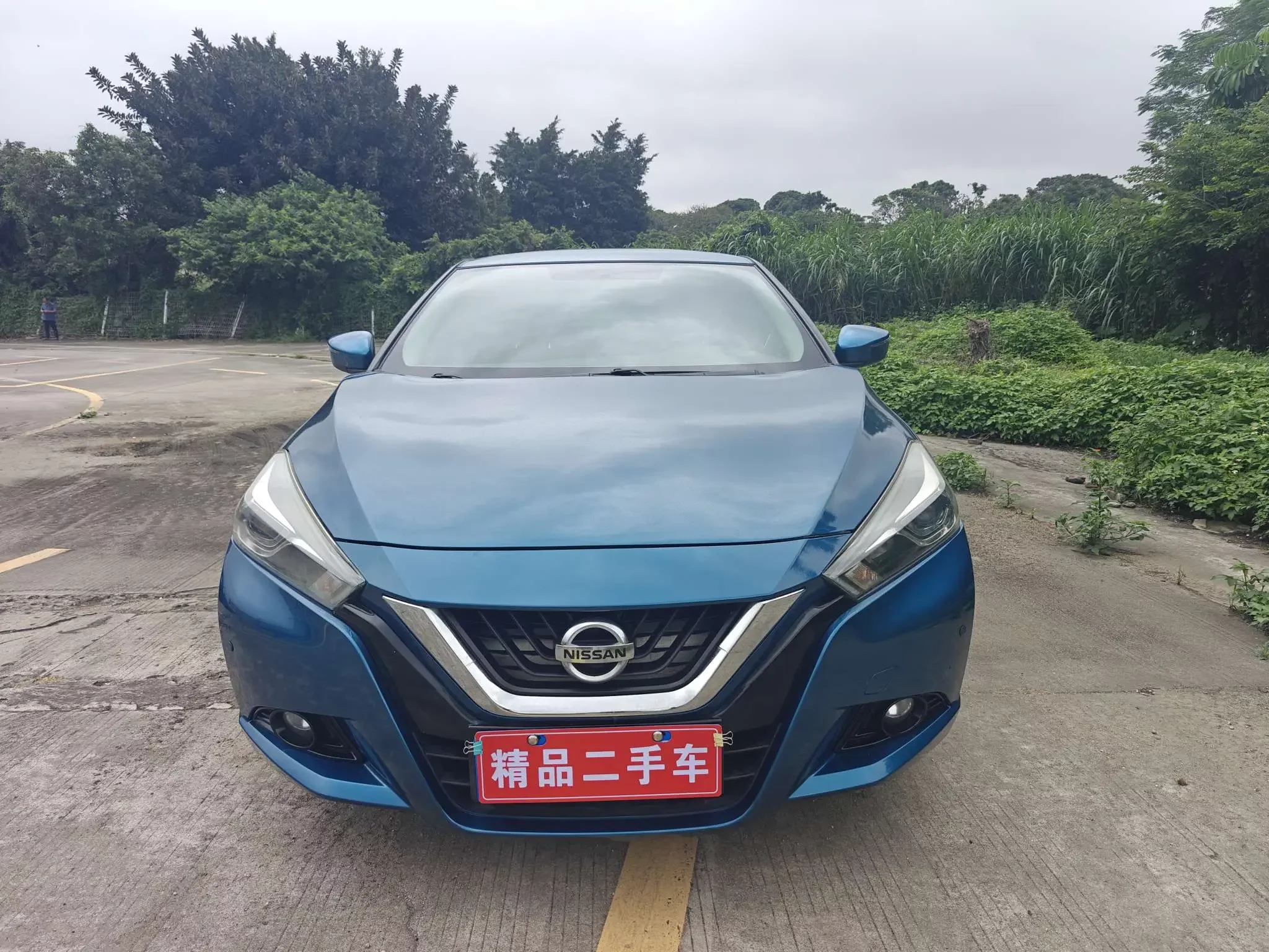 Nissan bluebird