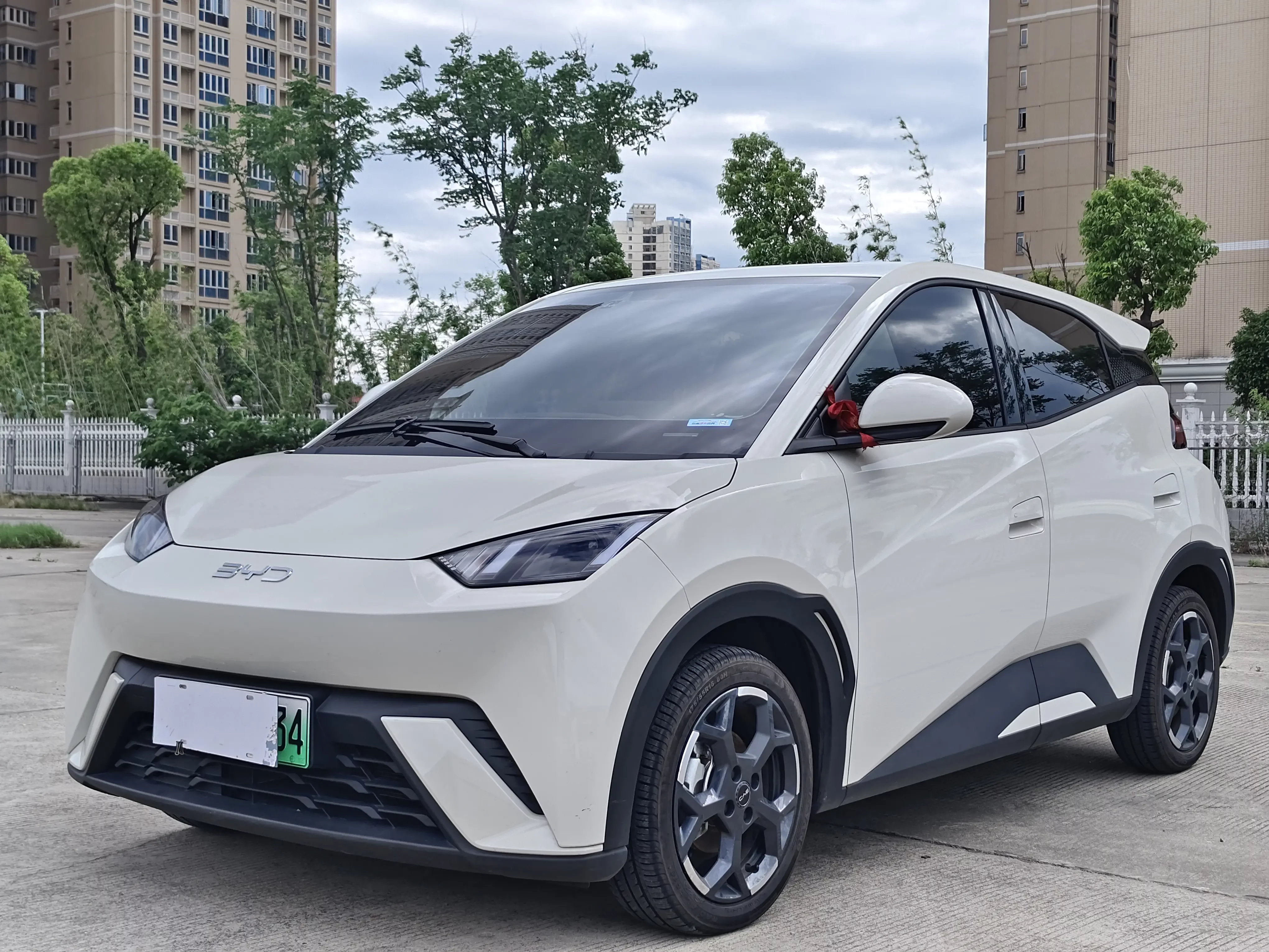 BYD seagull