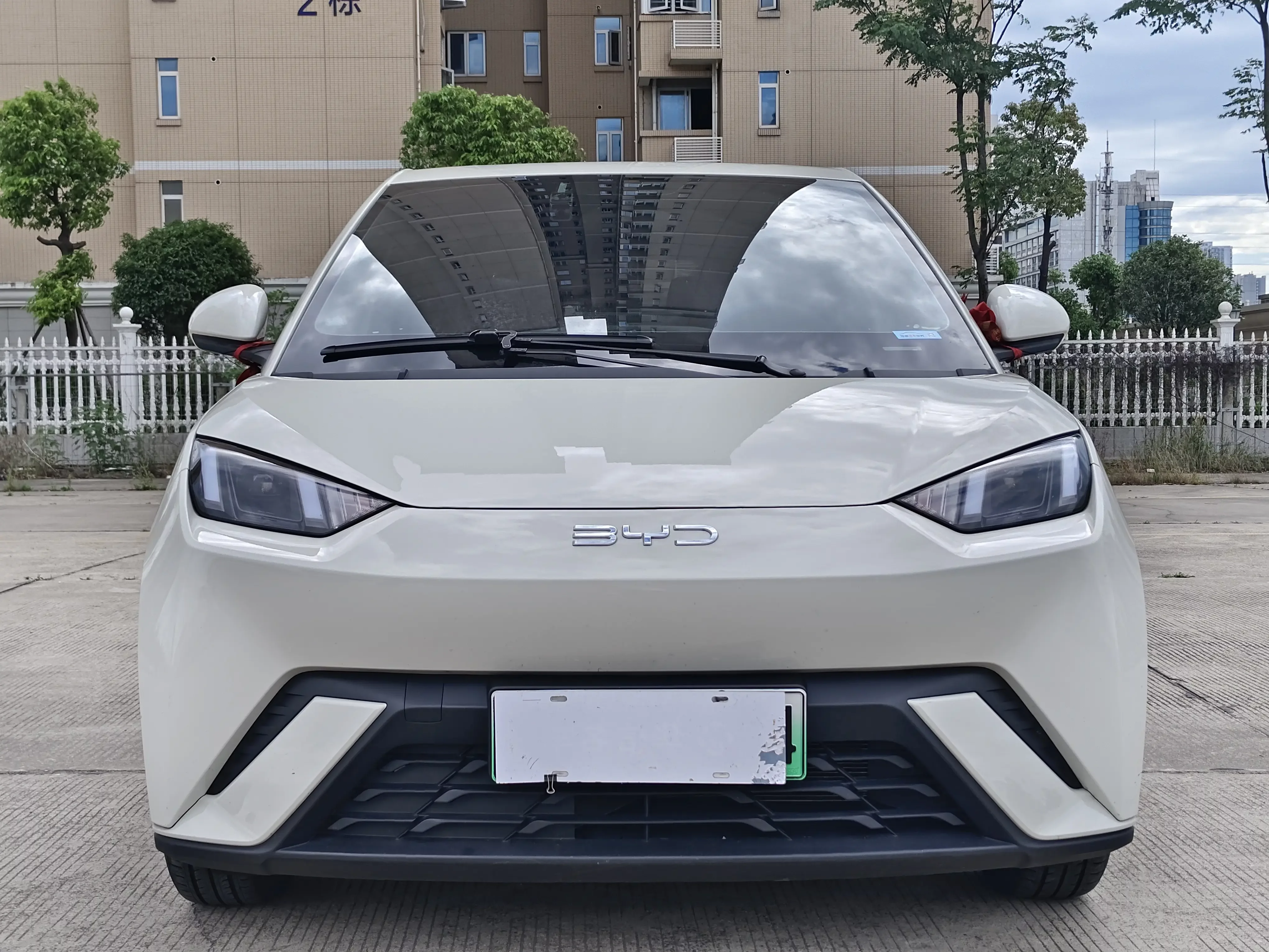 BYD seagull