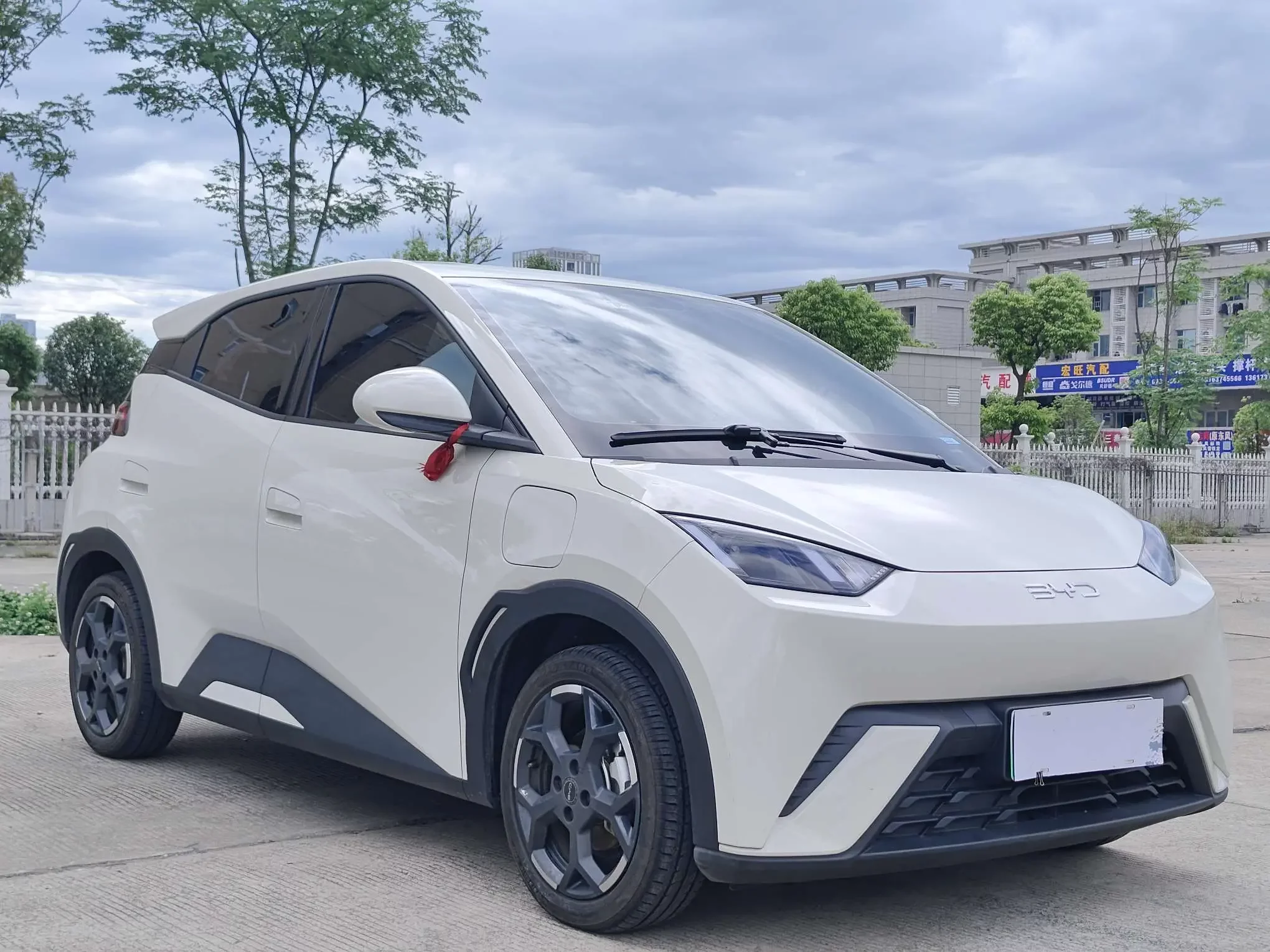 BYD seagull