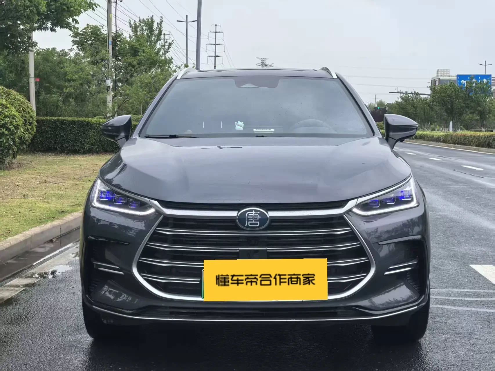 BYD Tang DM