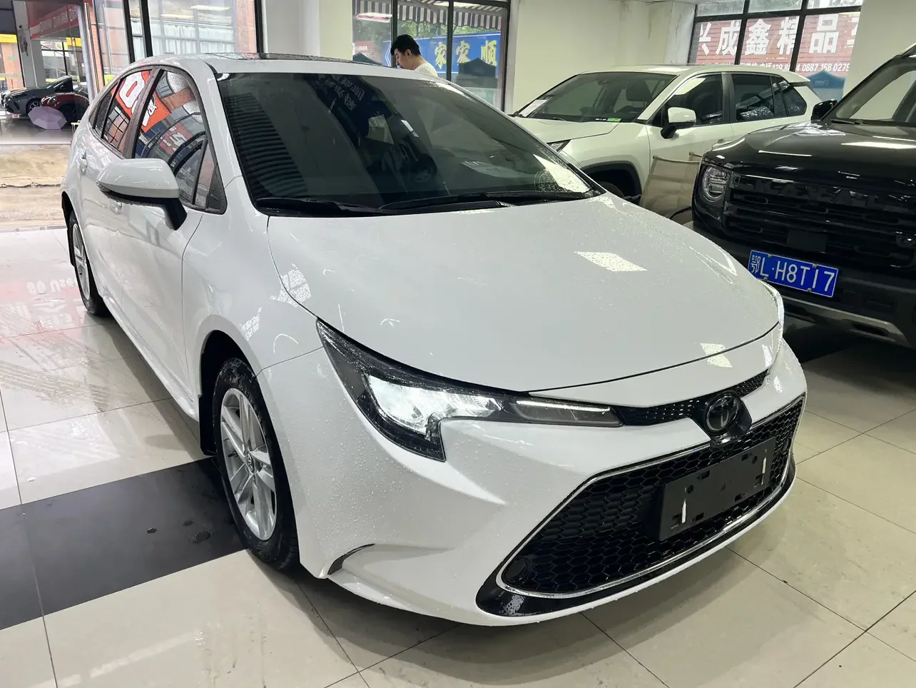 Toyota Levin