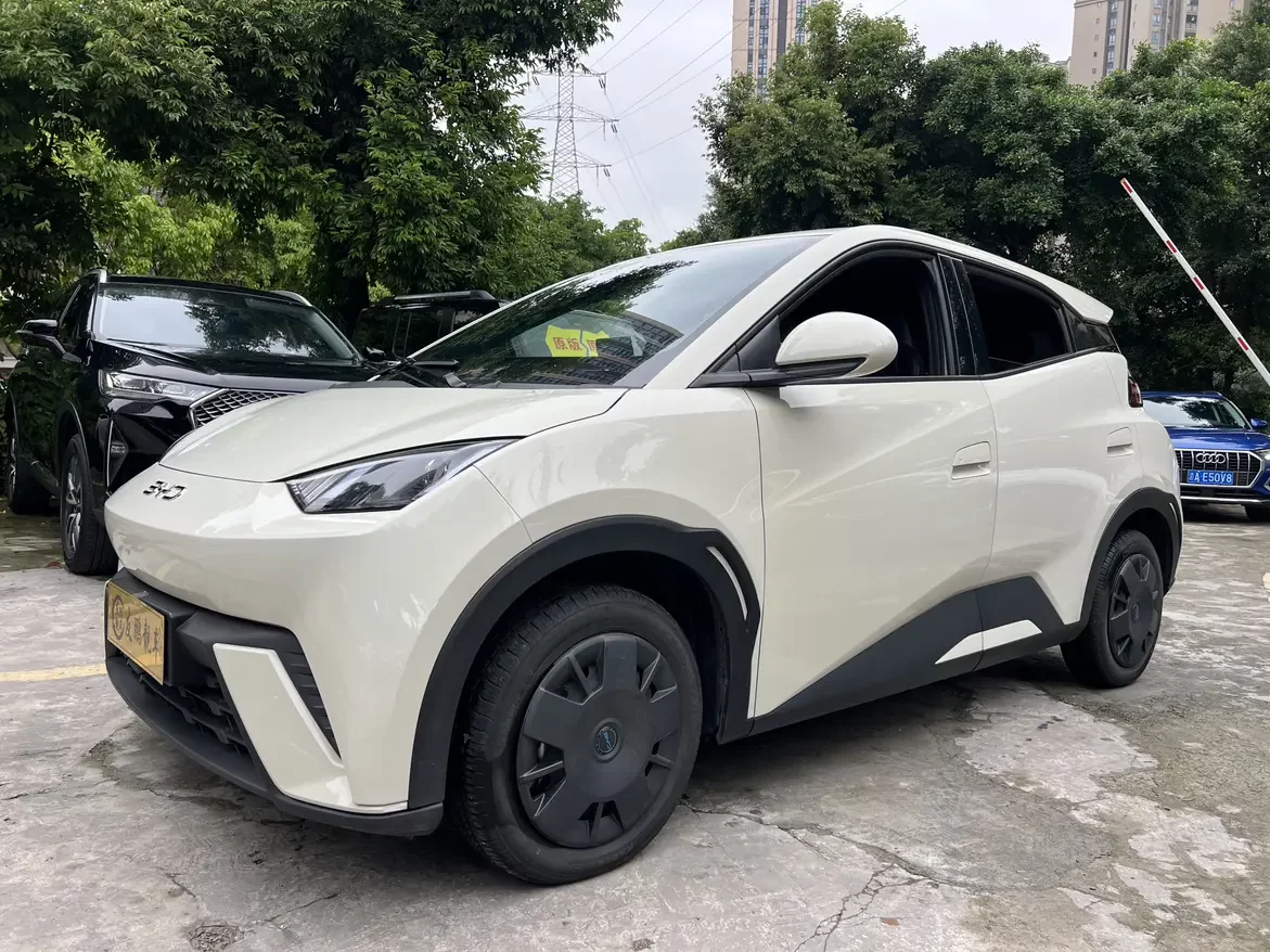 BYD seagull