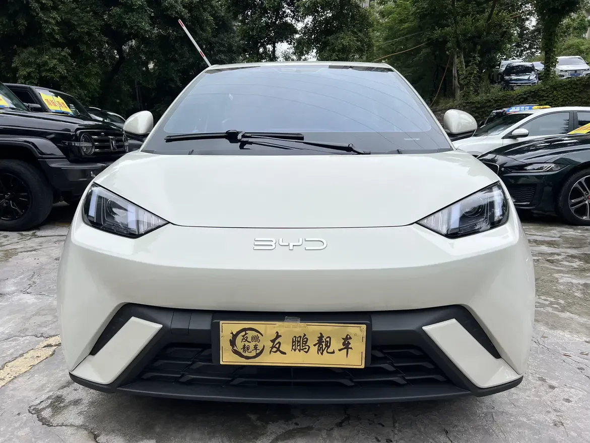 BYD seagull