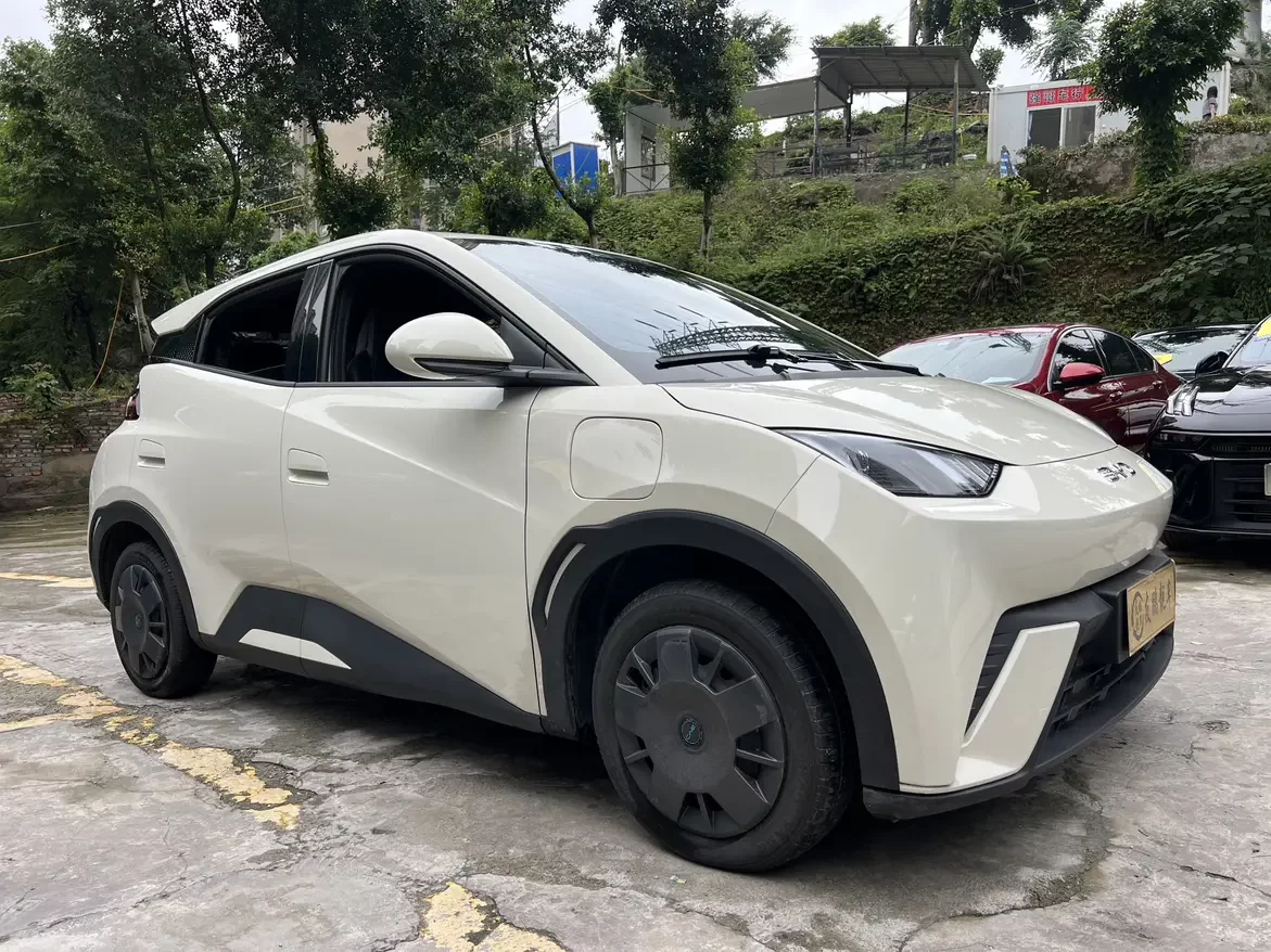 BYD seagull