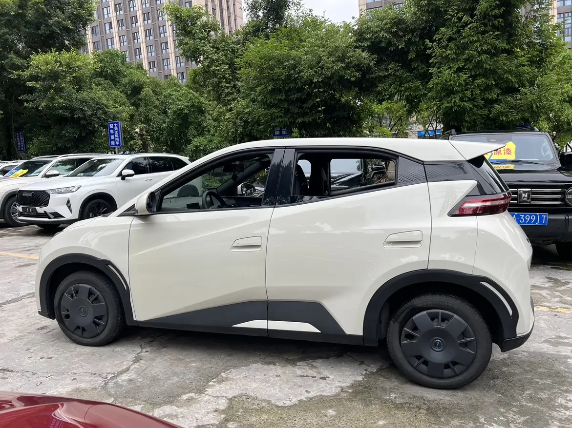 BYD seagull
