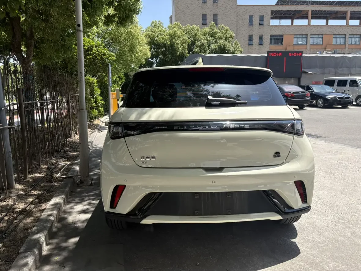 BYD dolphin