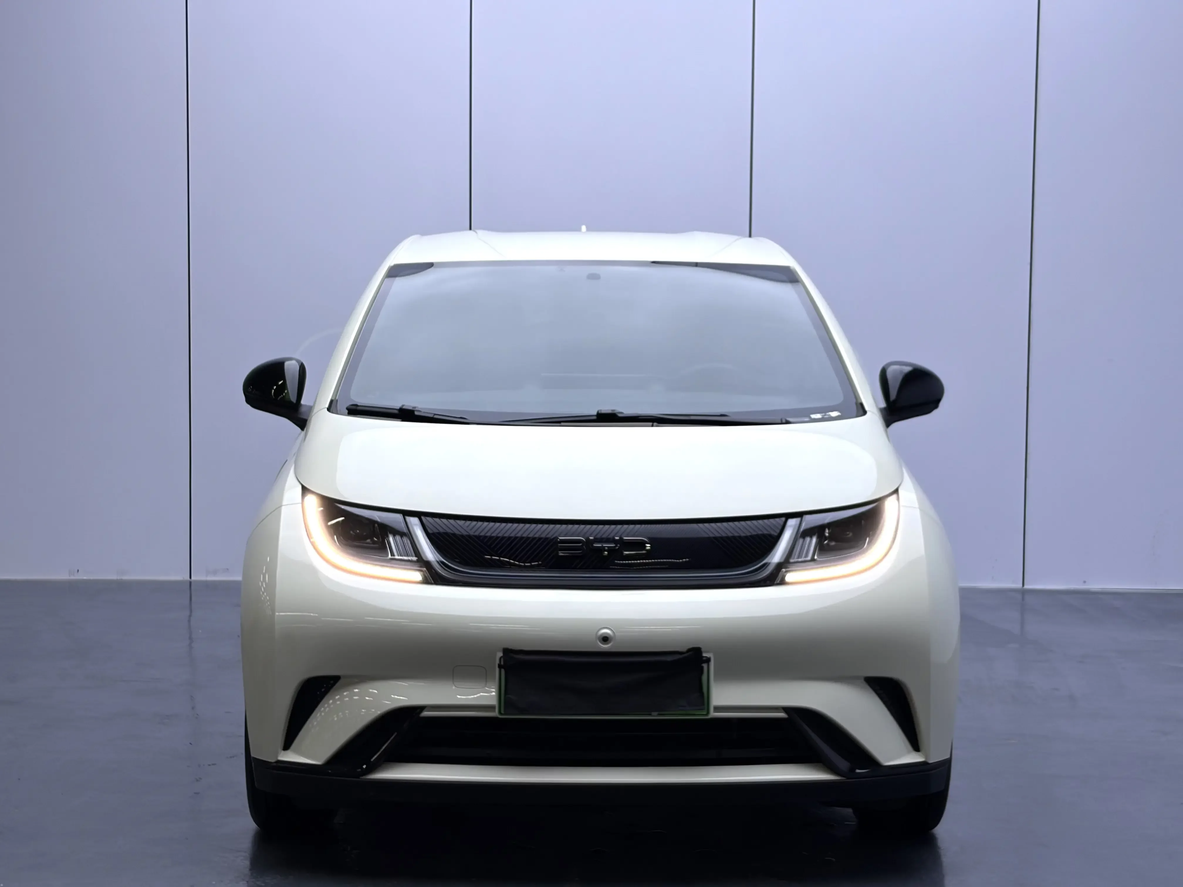 BYD dolphin