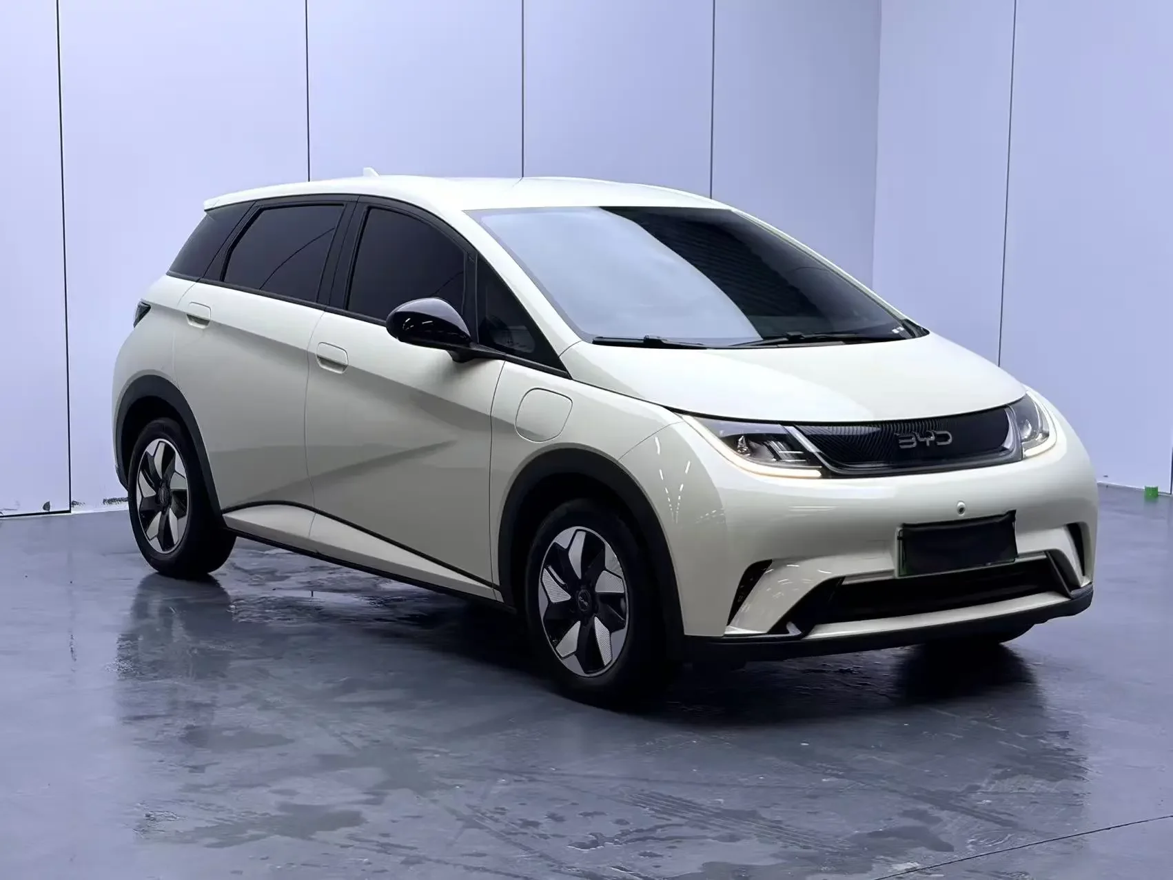 BYD dolphin