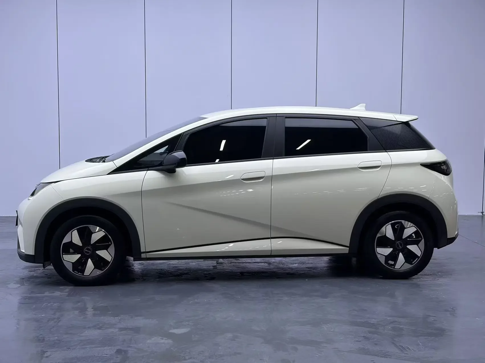 BYD dolphin