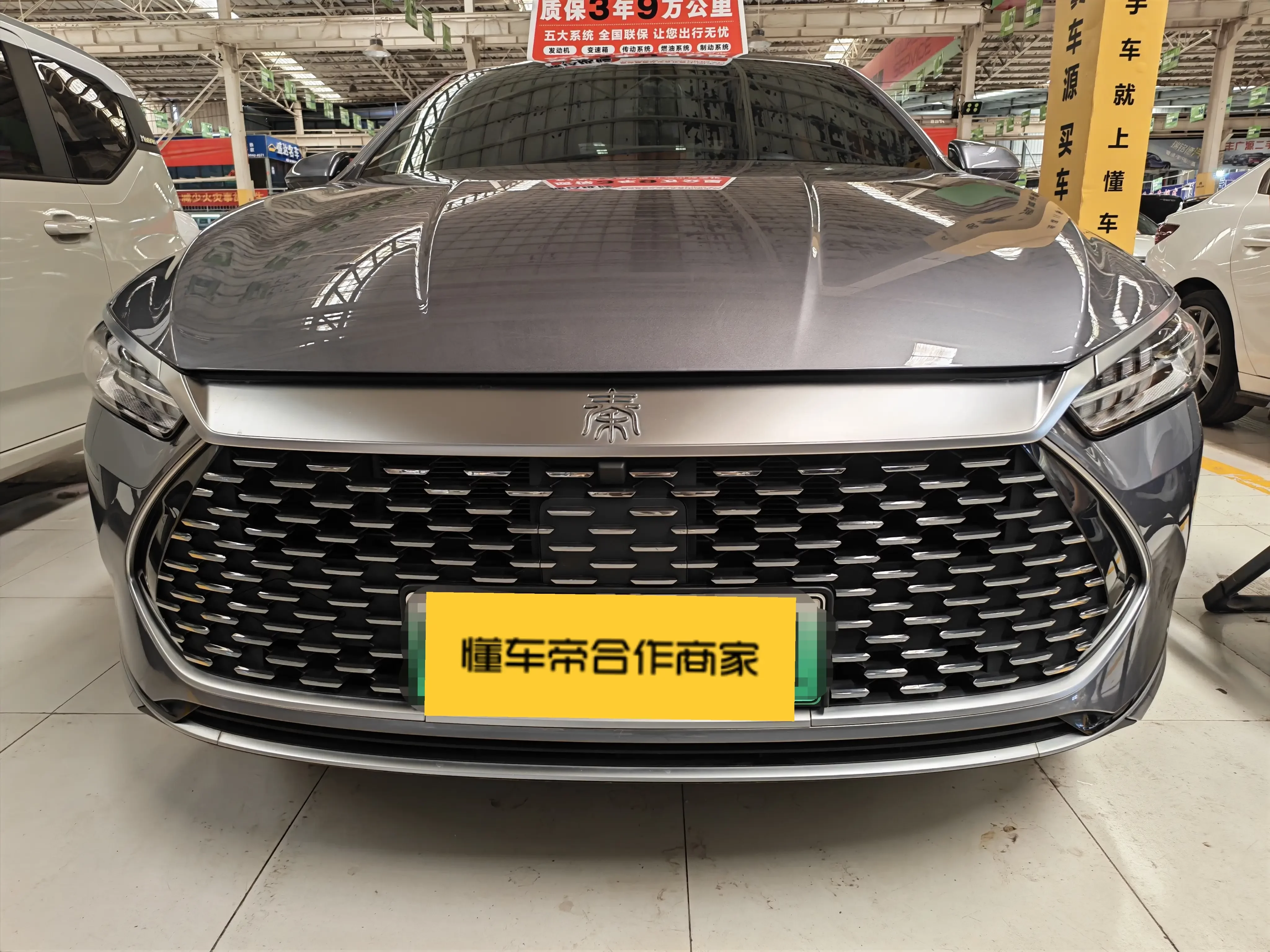 BYD Qin PLUS DM