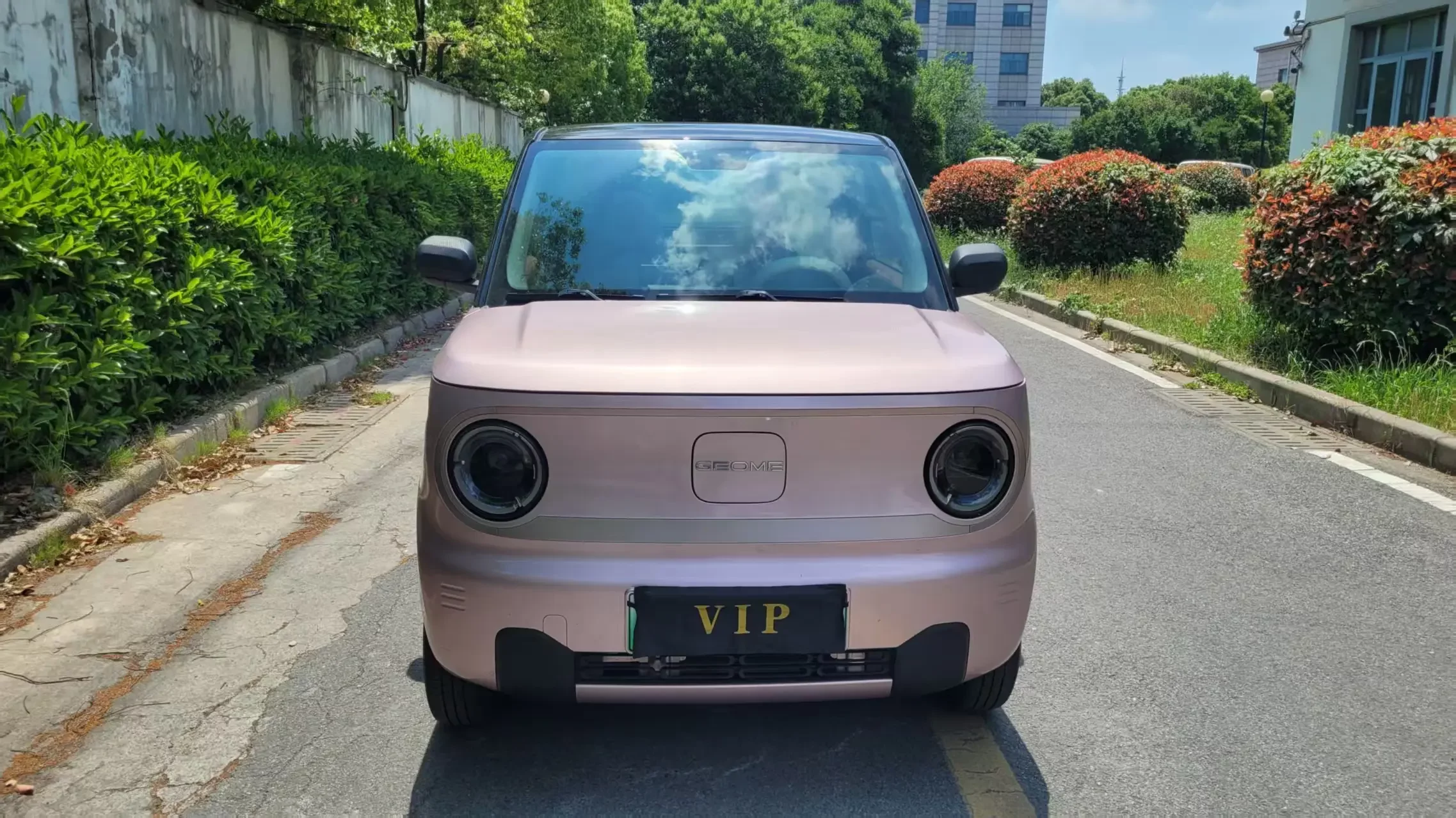 Geely panda