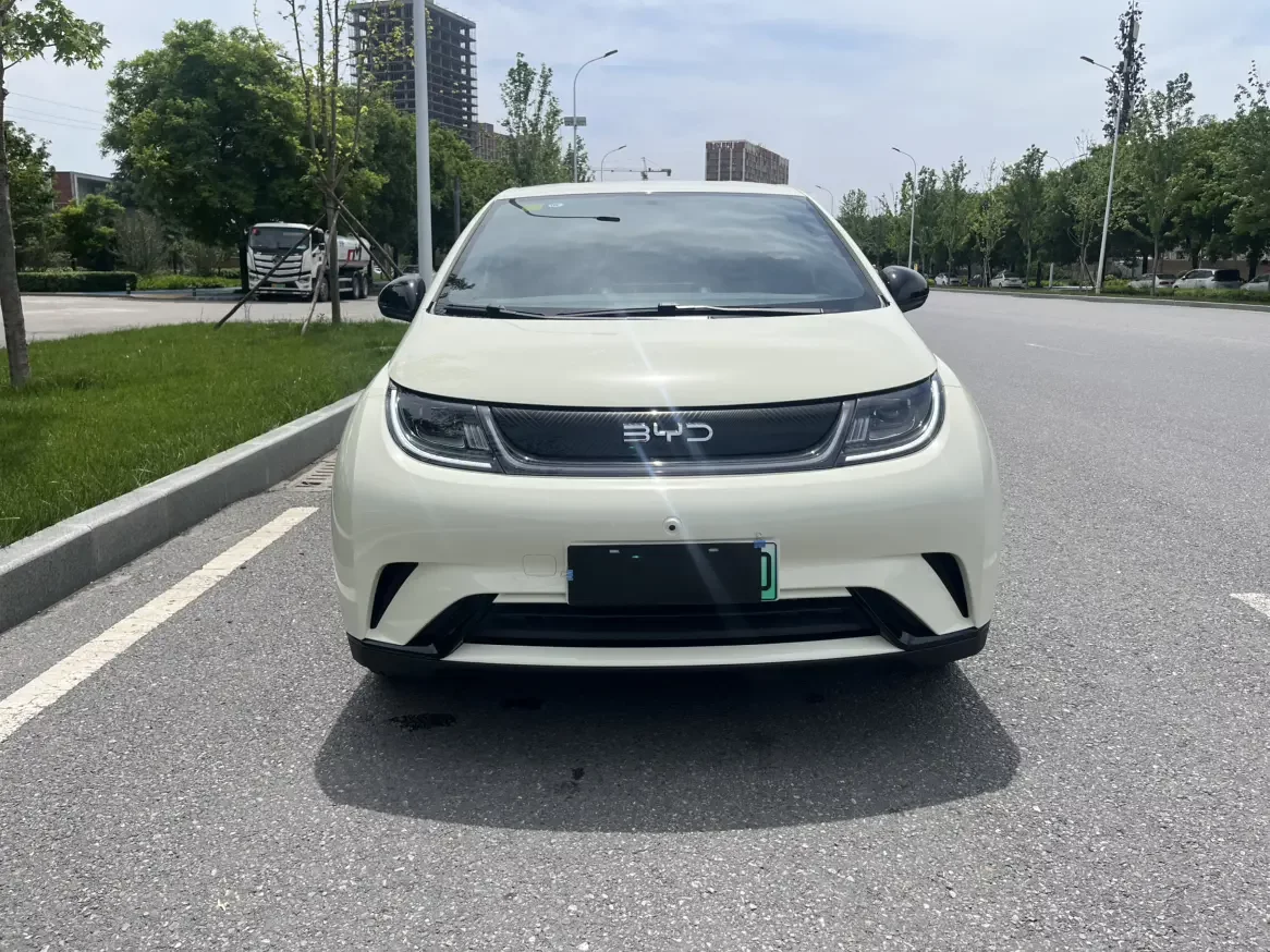 BYD dolphin