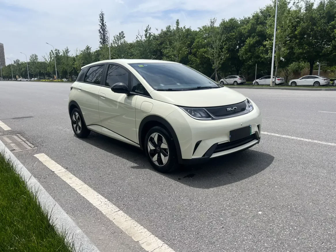 BYD dolphin