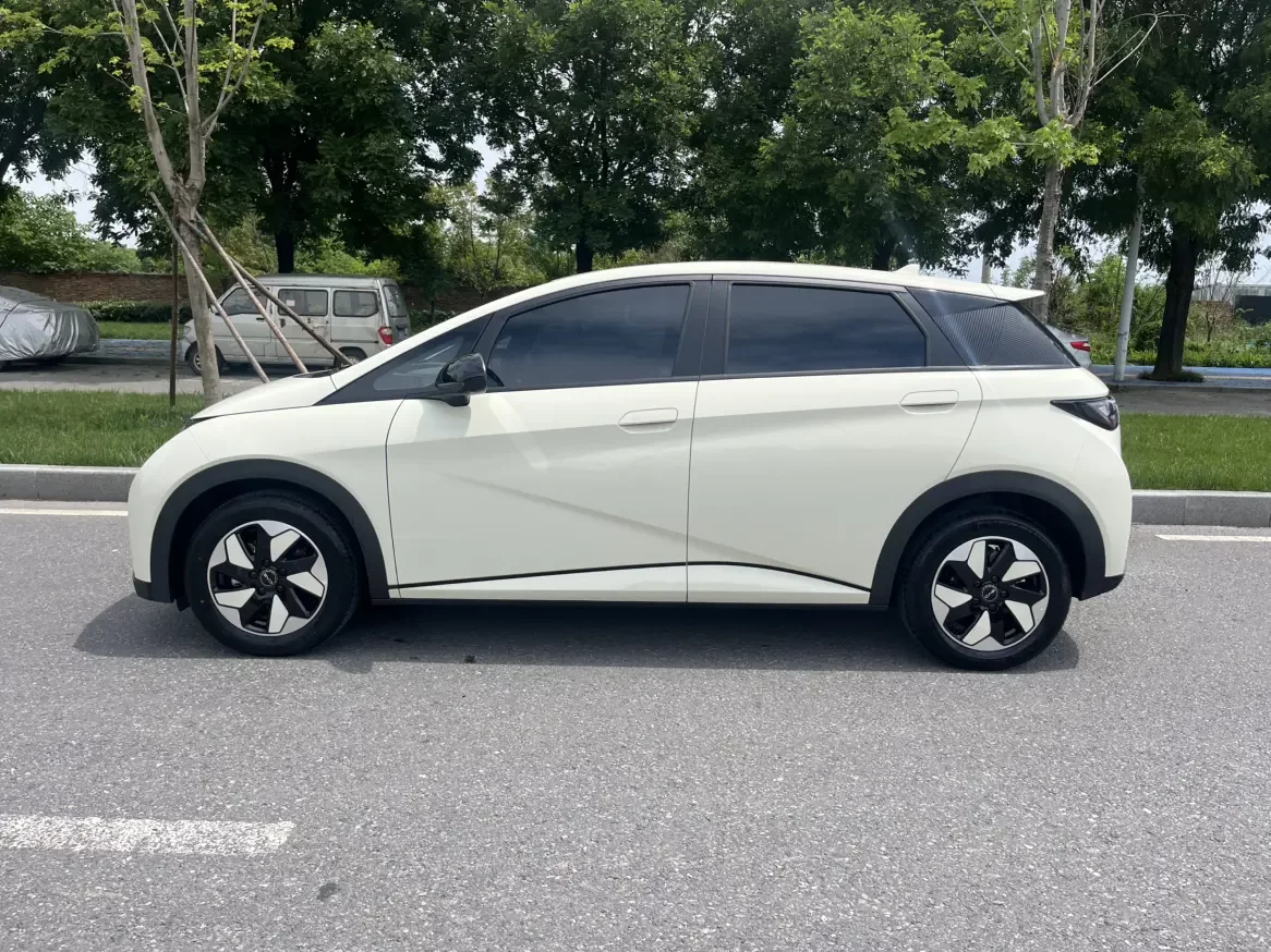 BYD dolphin
