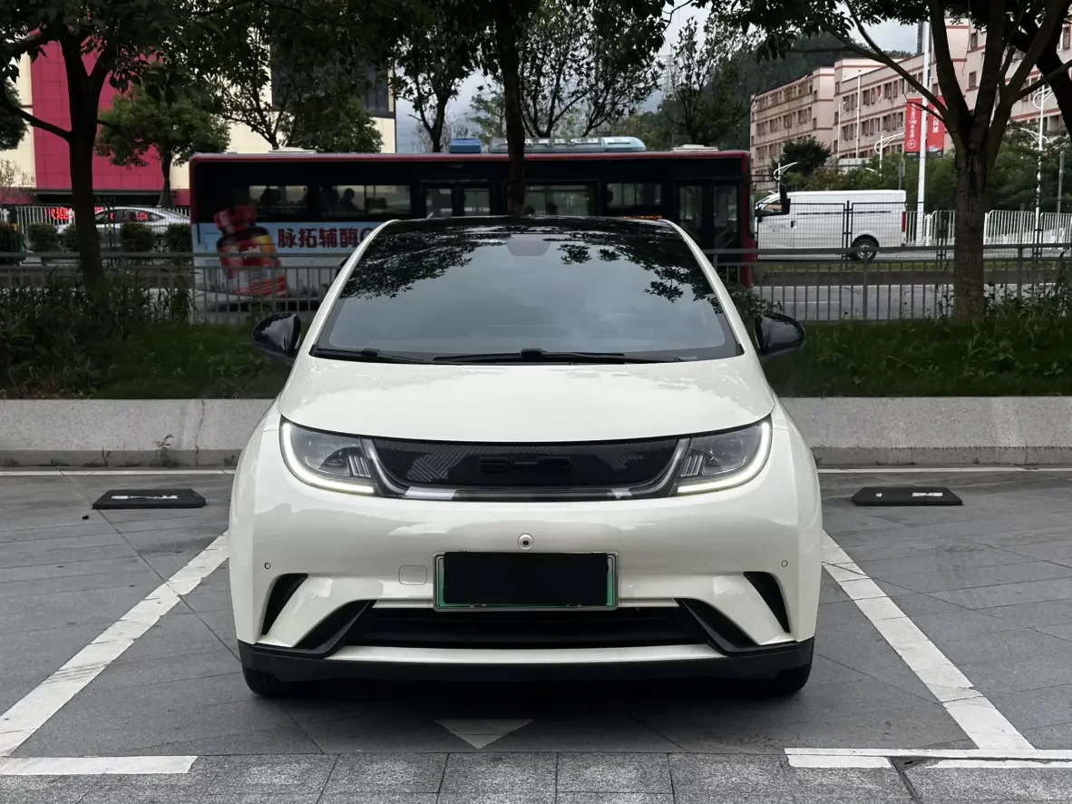 BYD dolphin