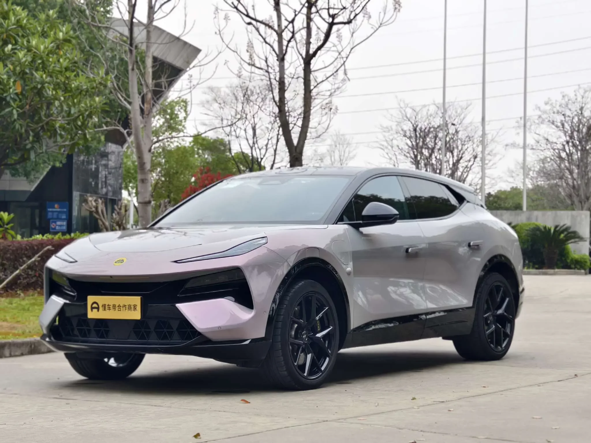 Lotus Eletre