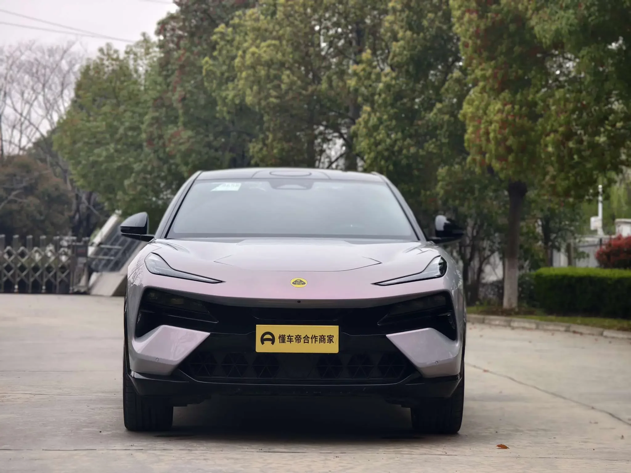 Lotus Eletre