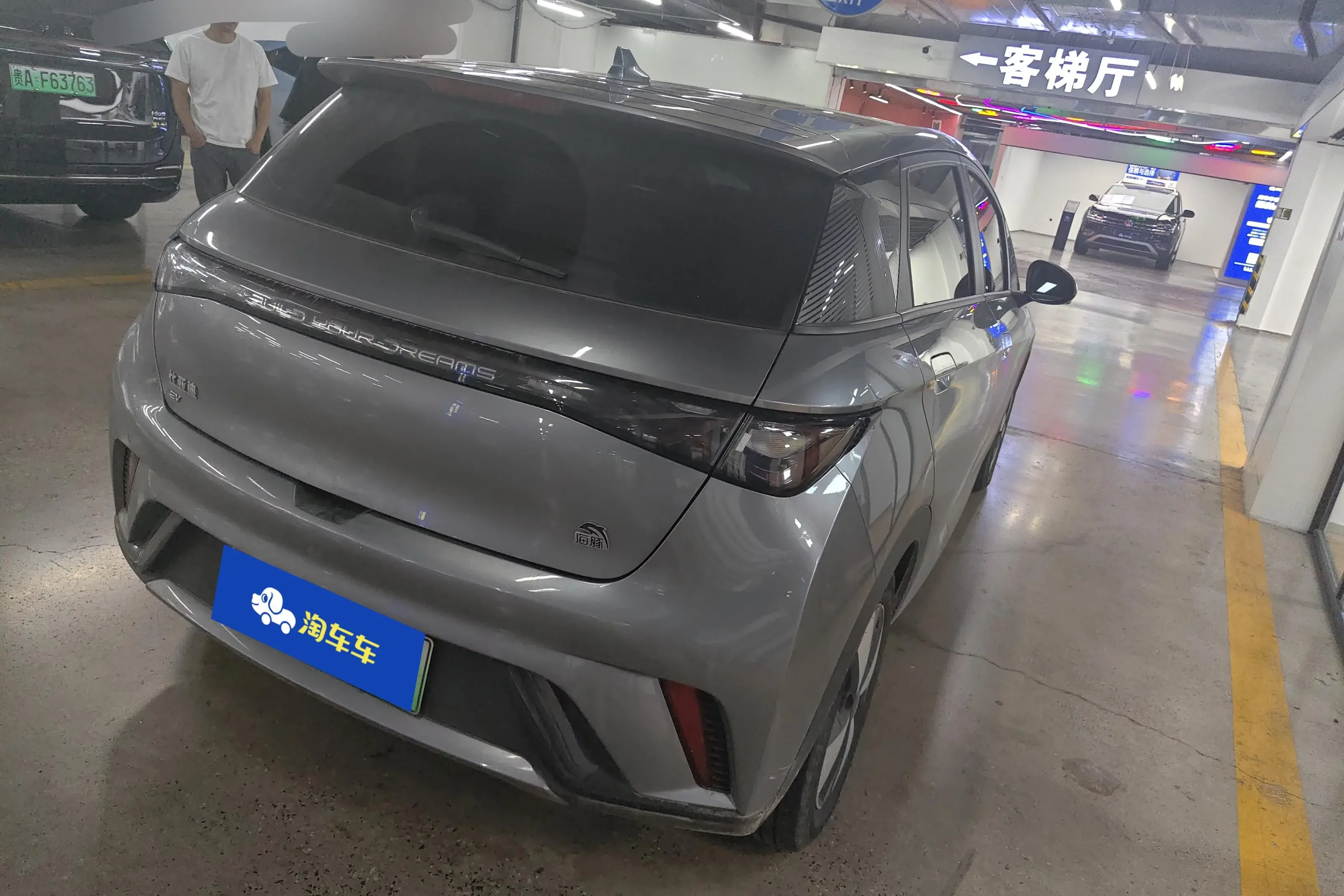 BYD dolphin