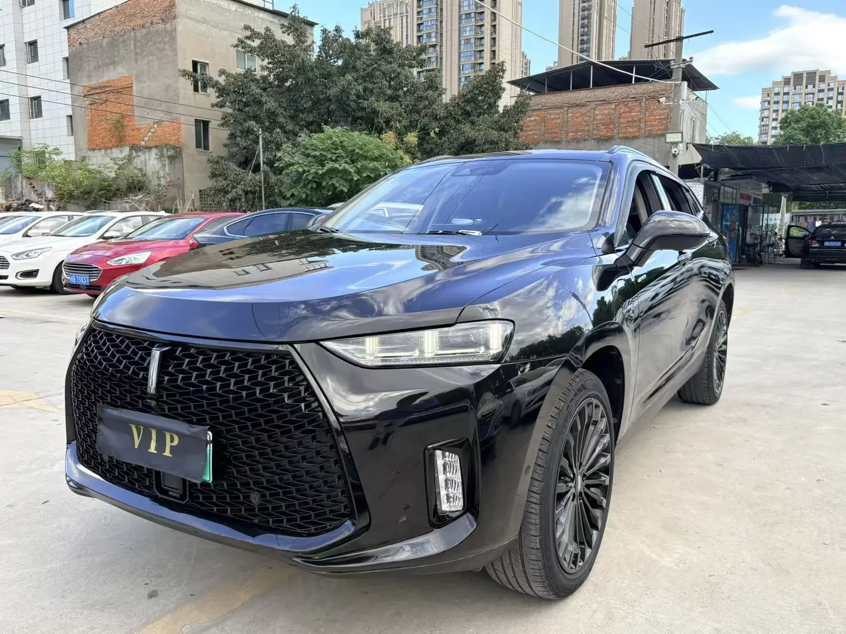 Wey Wei brand P8