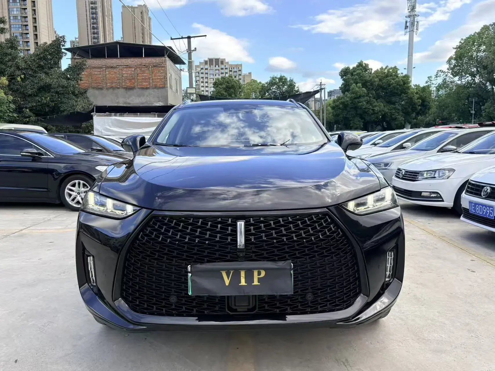 Wey Wei brand P8