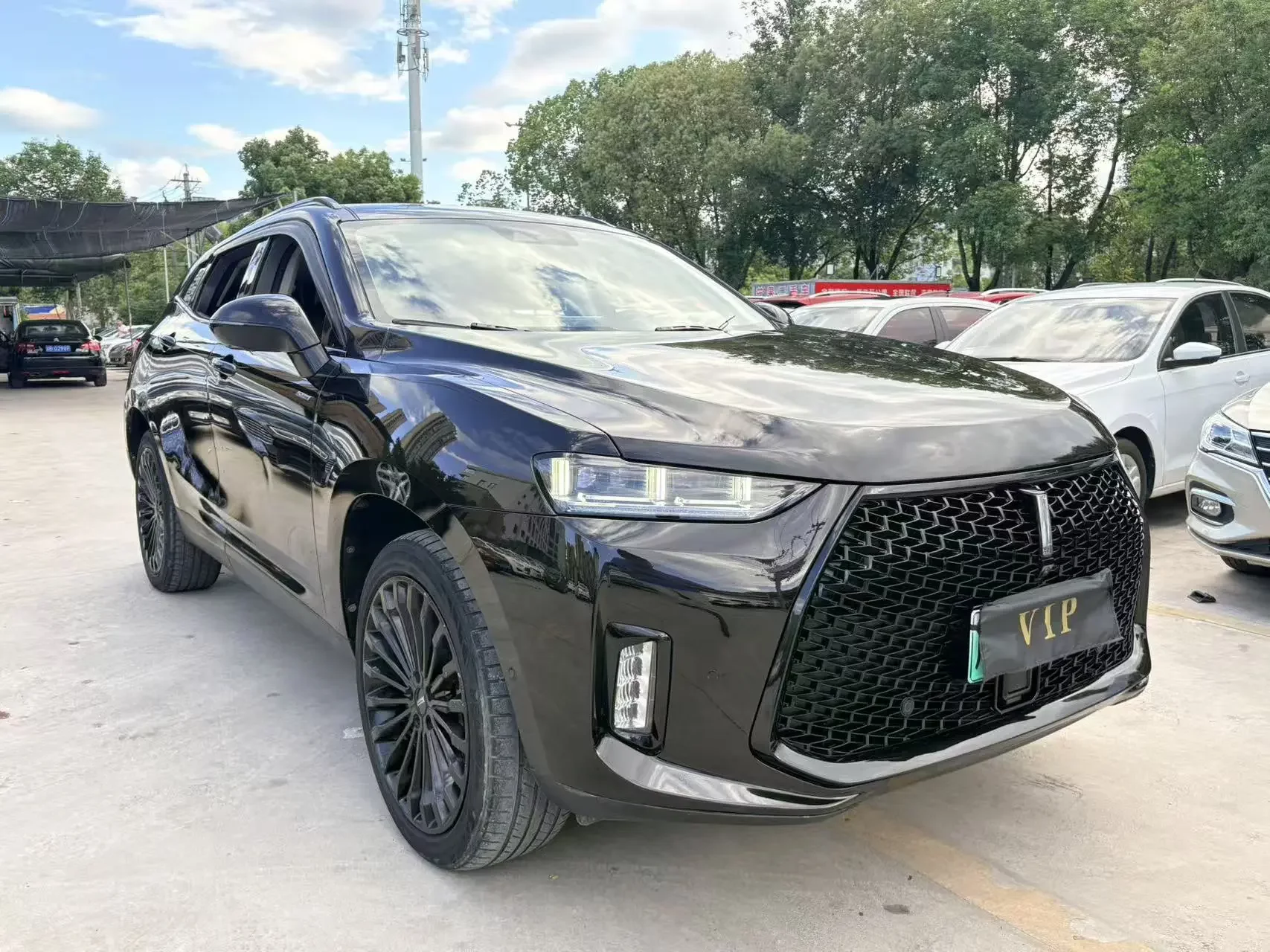 Wey Wei brand P8