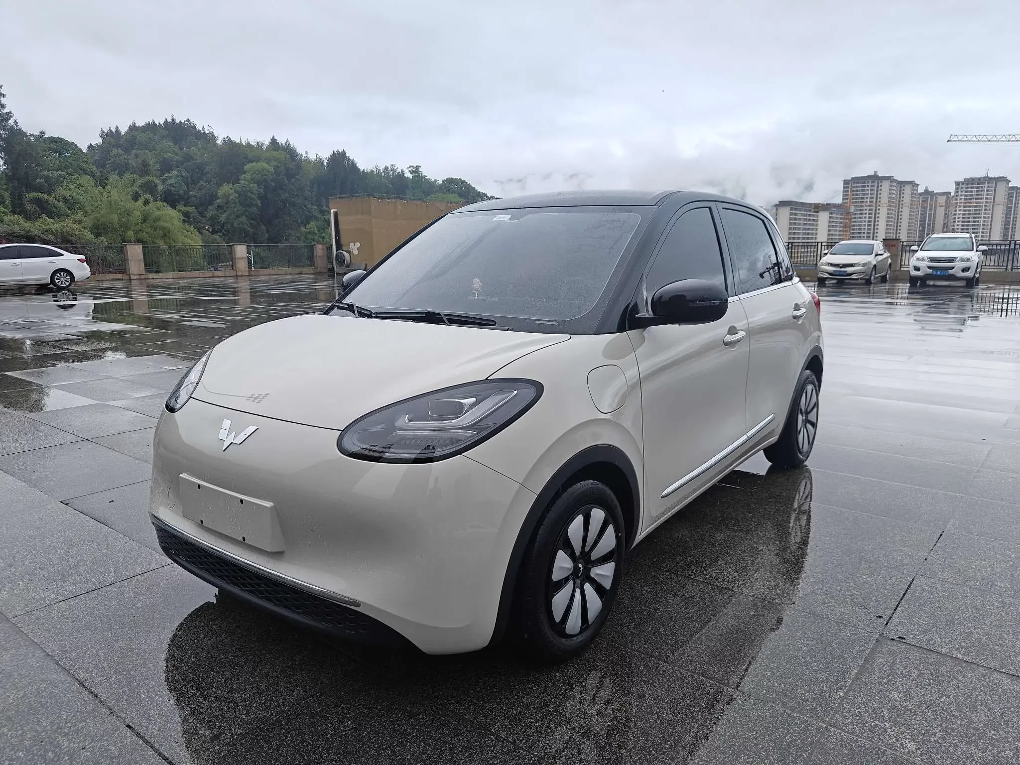 Wuling Bingo